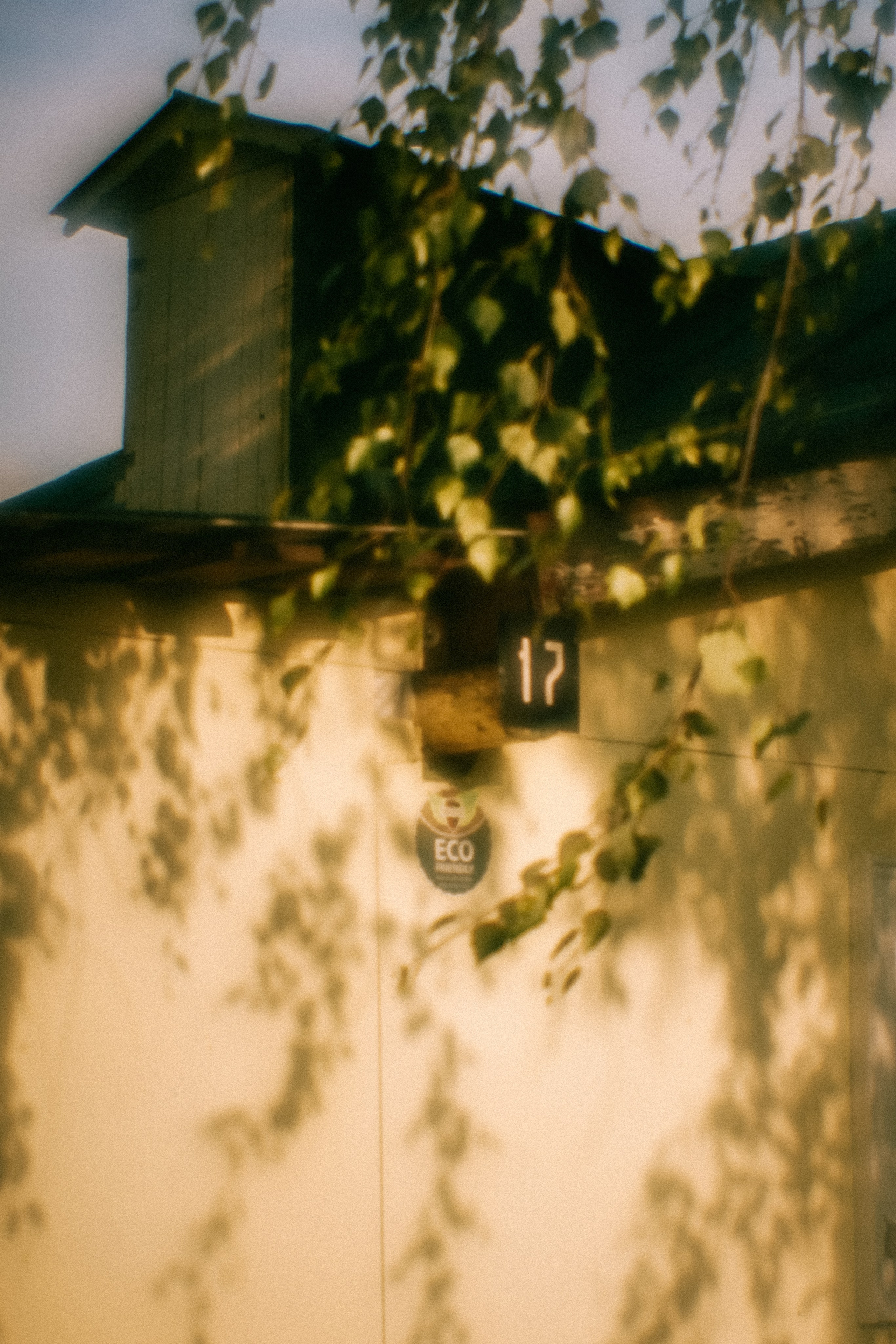 Поэзия повседневности. Семейный фотограф в Москве Марина Аргунова