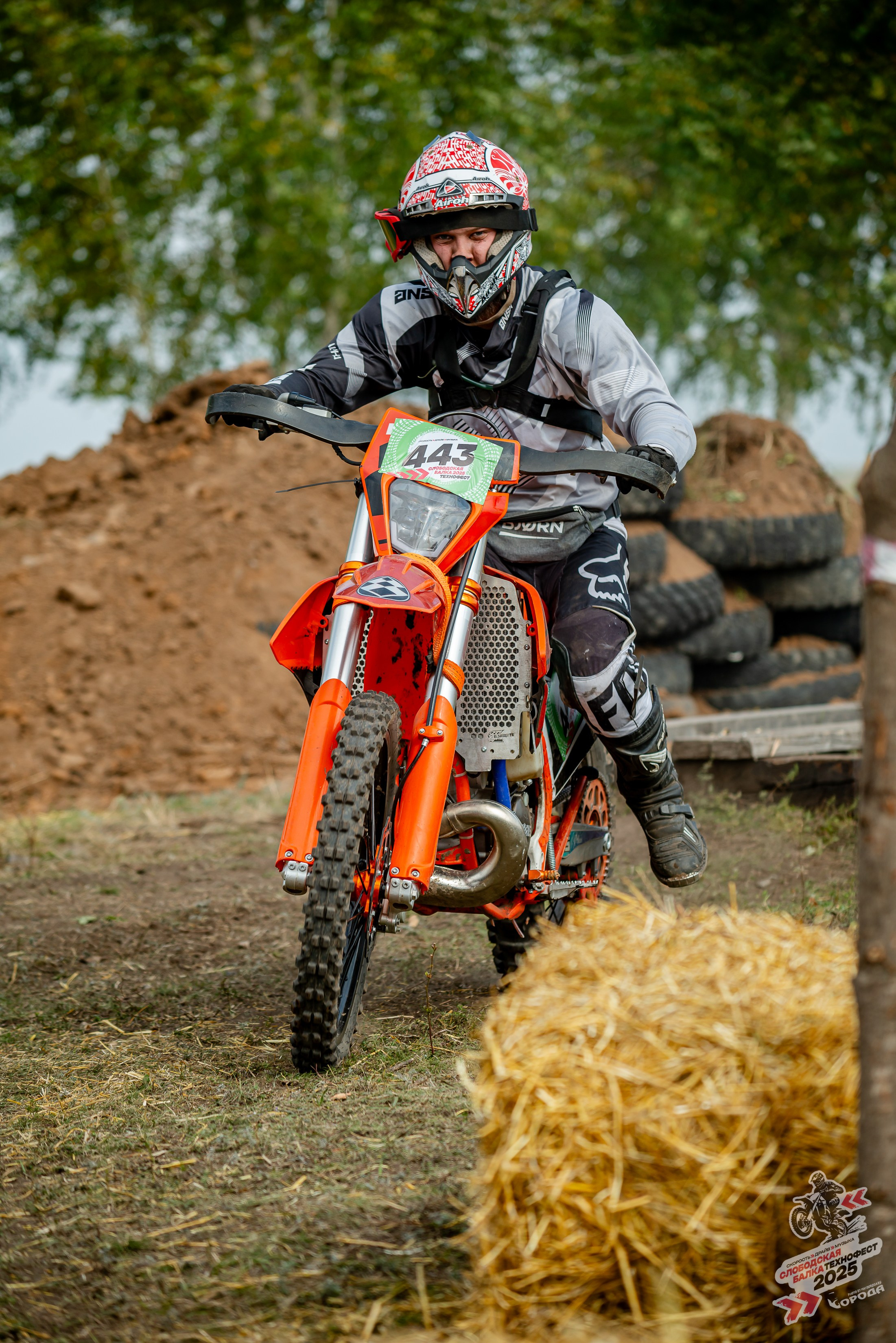 Слободская балка 2025. Фотограф | Макс Борода