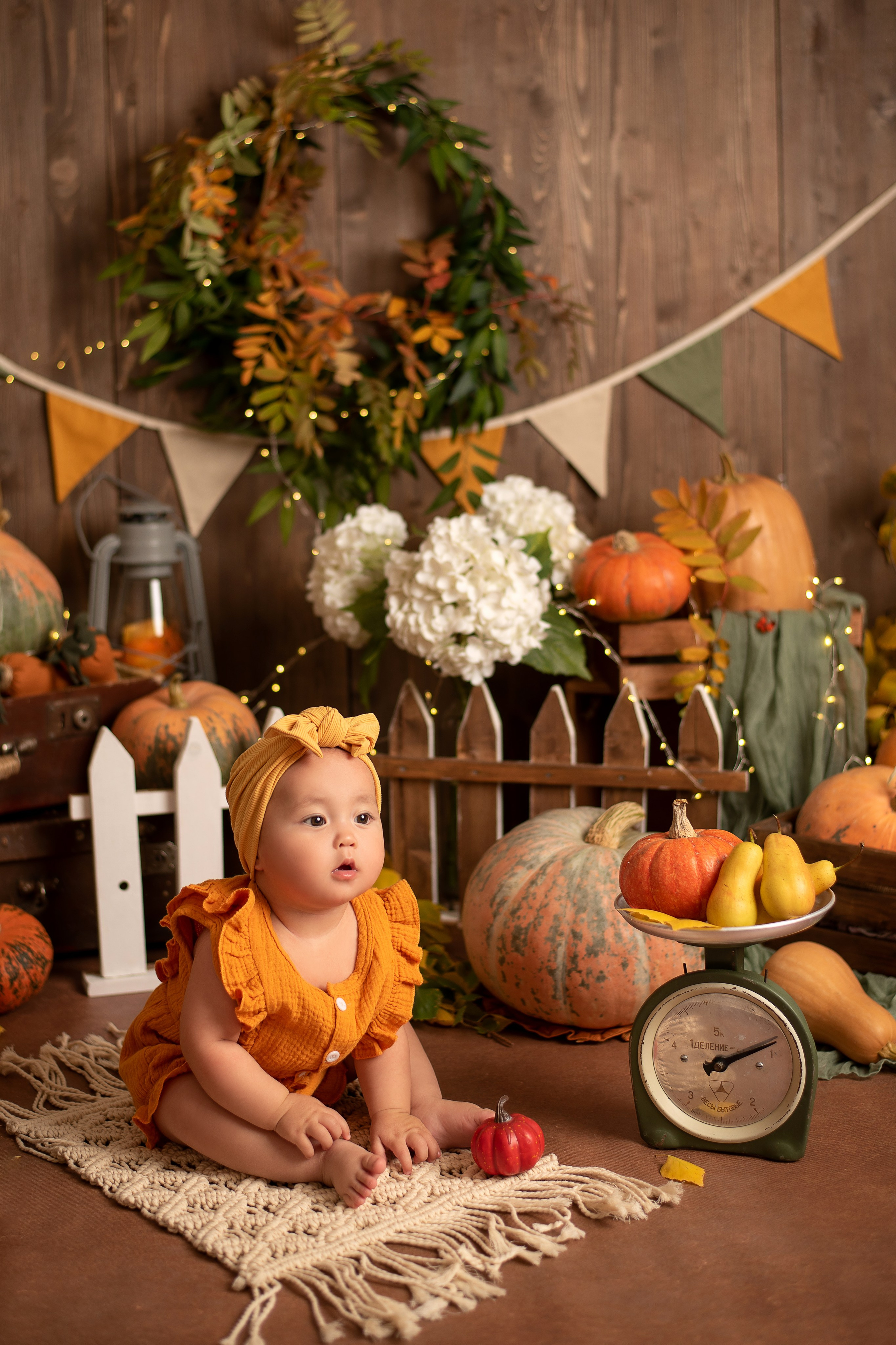 Евочка- ФП «Оранжевые Тыковки». Семейный и детский фотограф Наталья Горда