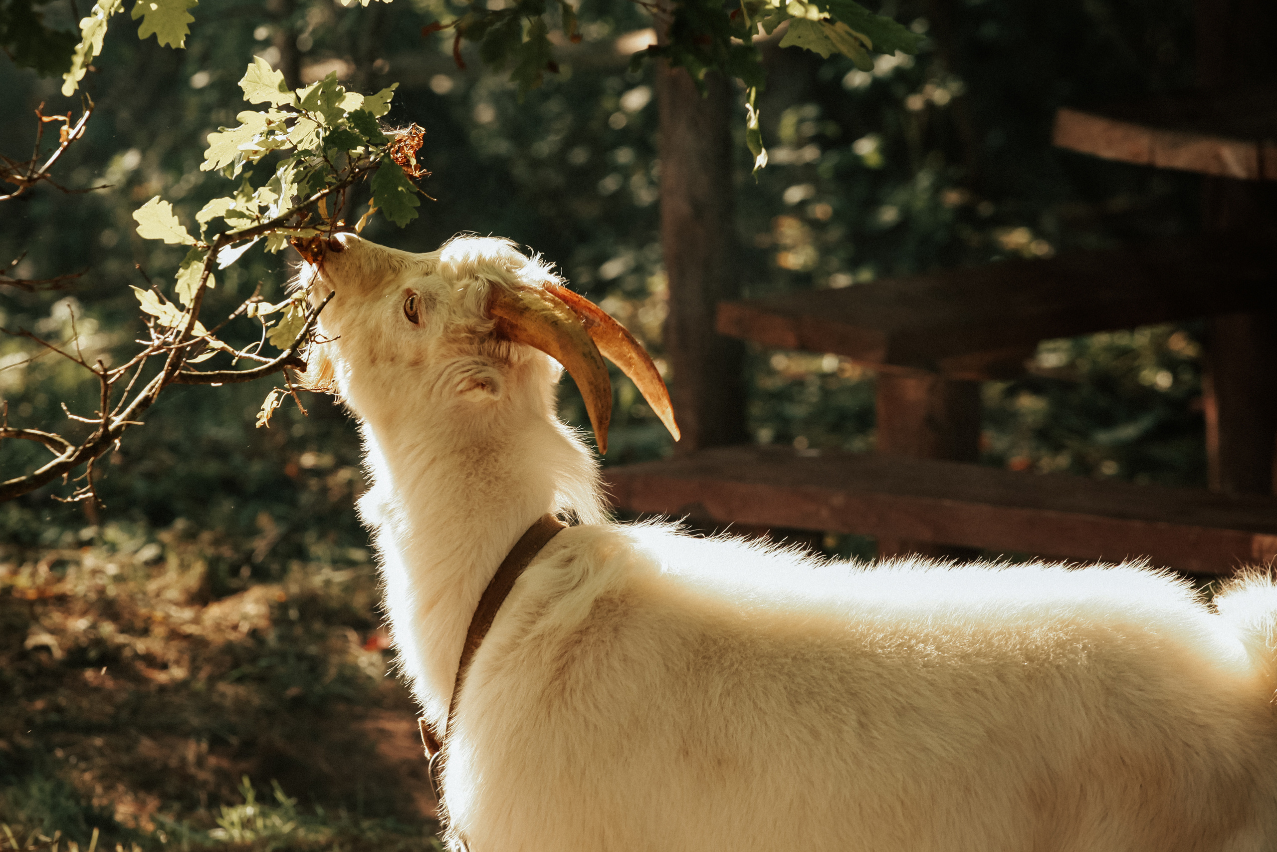 Р е п о р т a ж. Портретный фотограф в Санкт-Петербурге Любовь Волошина
