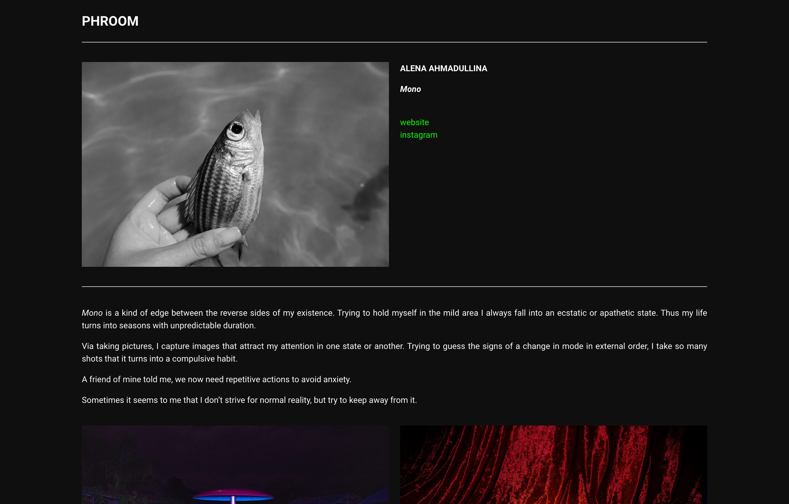 CV. Alena Ahmadullina