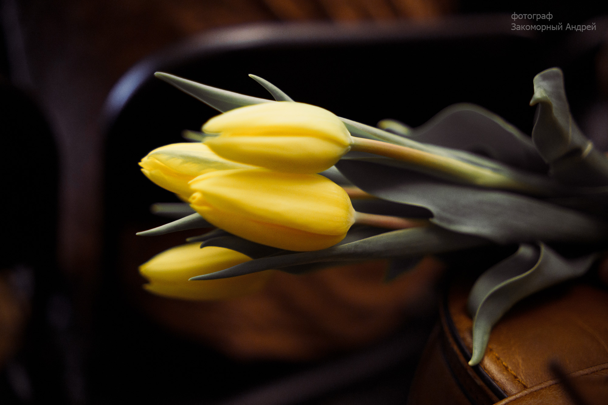 Репортажная фотосъёмка. Фотомастерская Андрея Закоморного