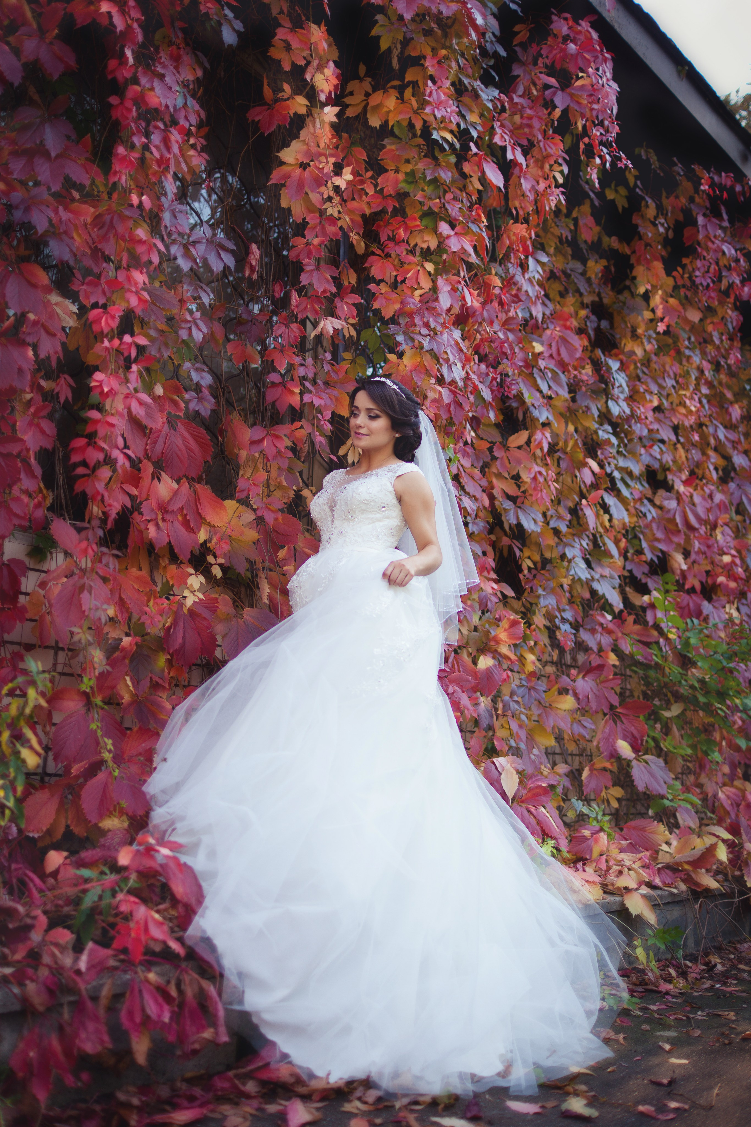 Жених и невеста. Фотограф Денис Гавриленков