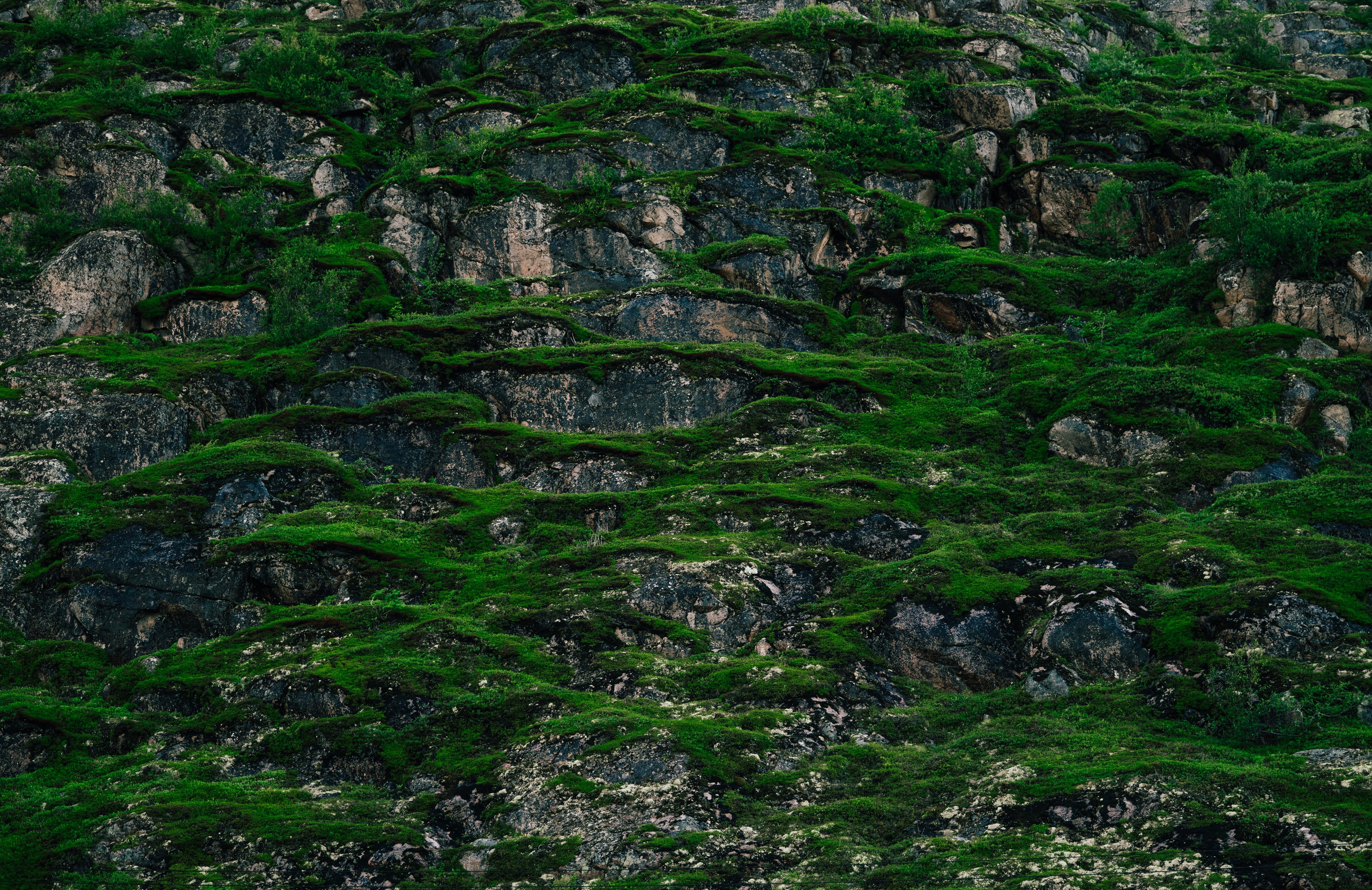 ТЕРИБЕРКА. Создание контента | Фото | Видеосъемка | Александр Ярков