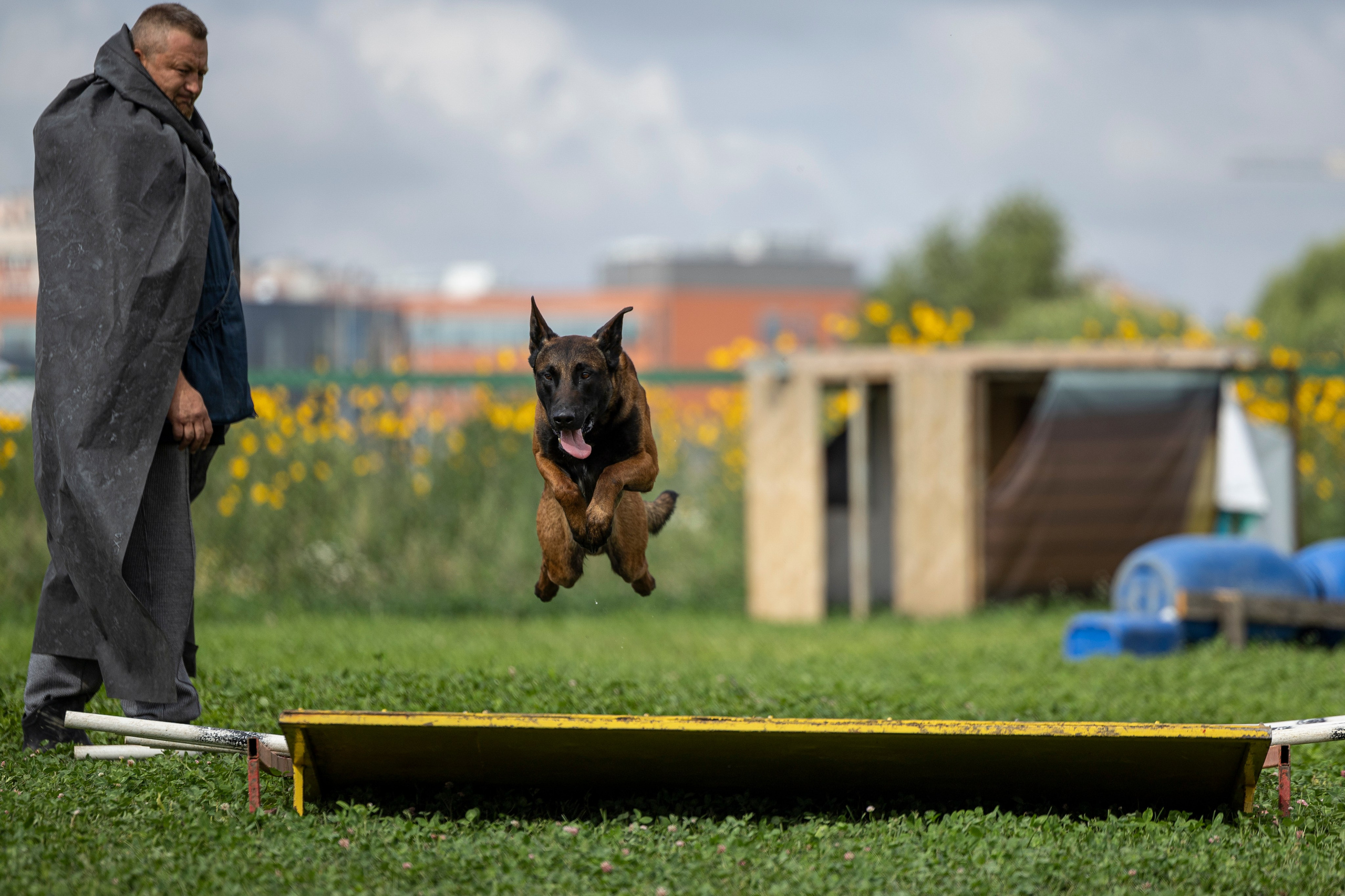 Соревнования по Мондьорингу г. Вологда 10-11.08.2024. Фотограф-анималист Анна Маринич