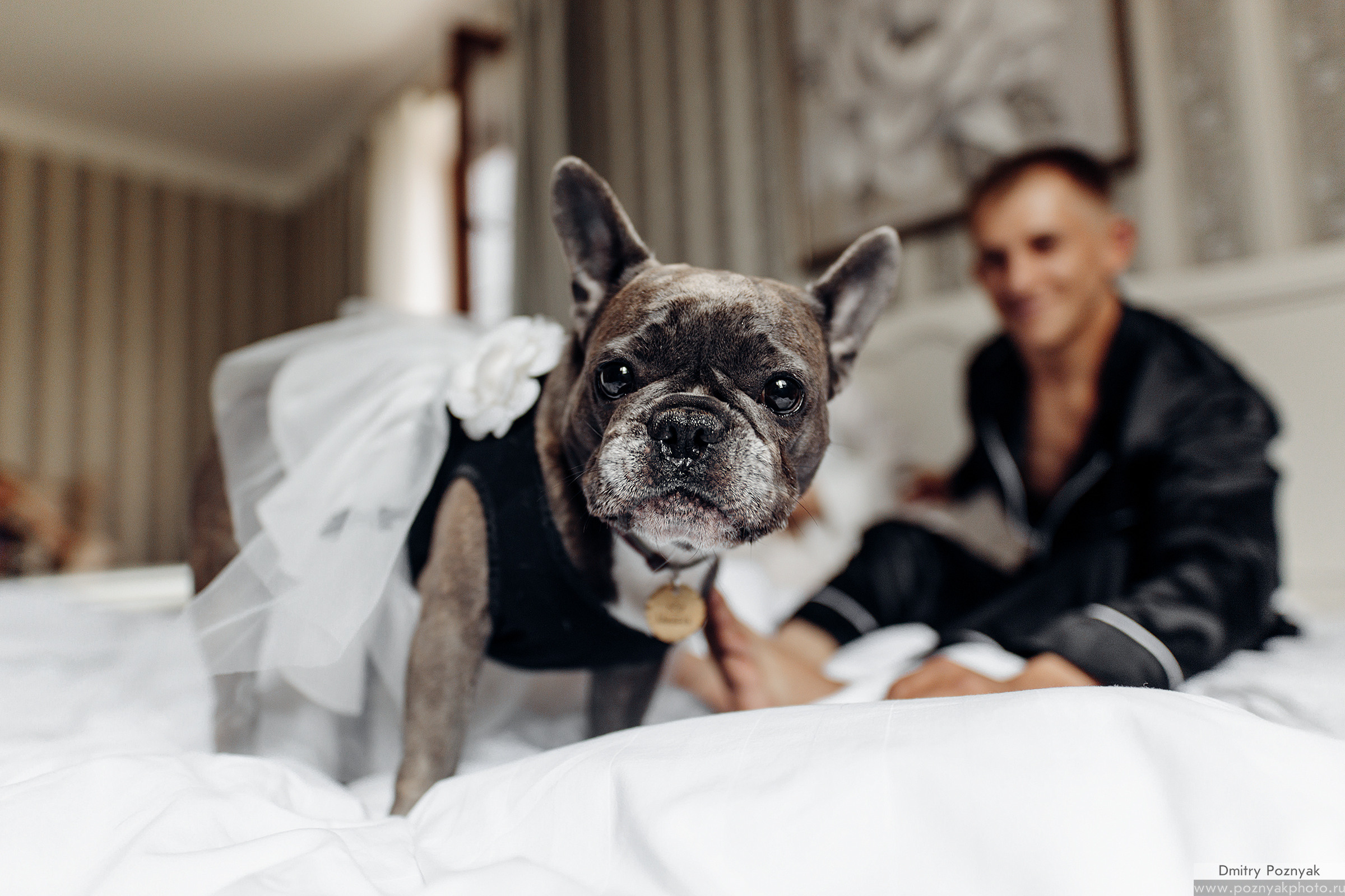 Свадьба Паши и Насти. Дмитрий Позняк — свадебный фотограф в Брянске. Личный сайт фотографа