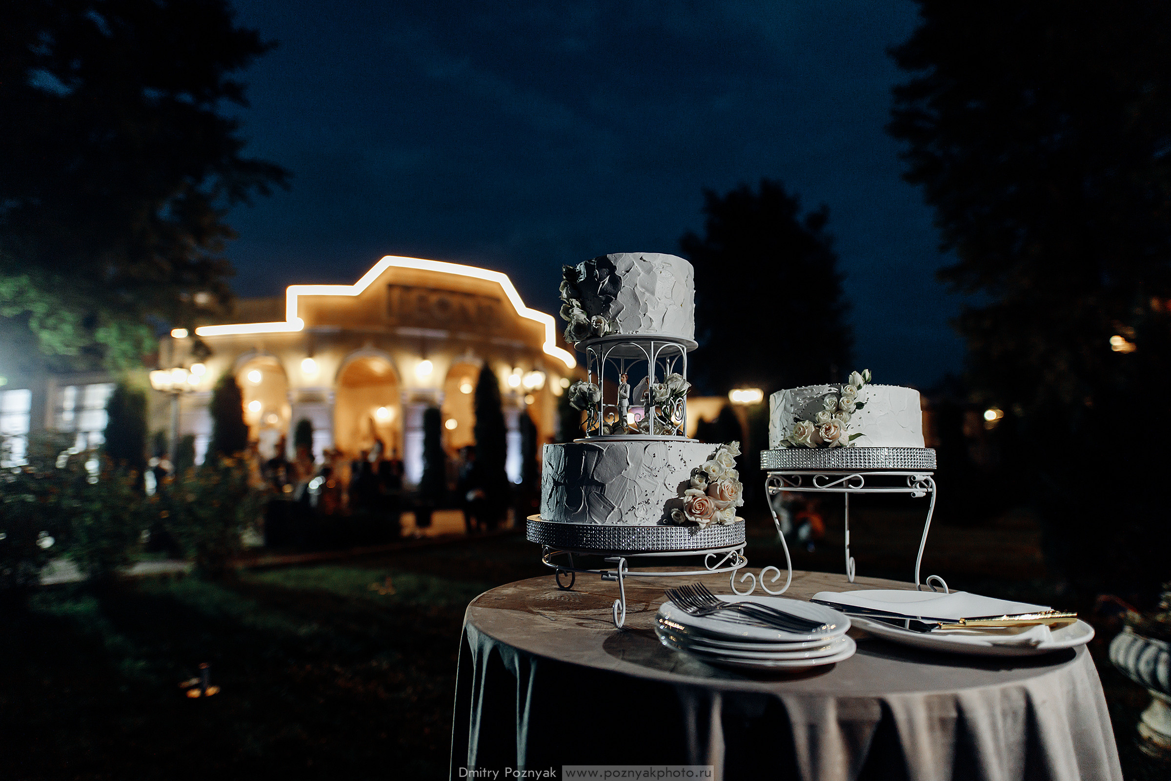 Лёша и Алина. Дмитрий Позняк — свадебный фотограф в Брянске. Личный сайт фотографа