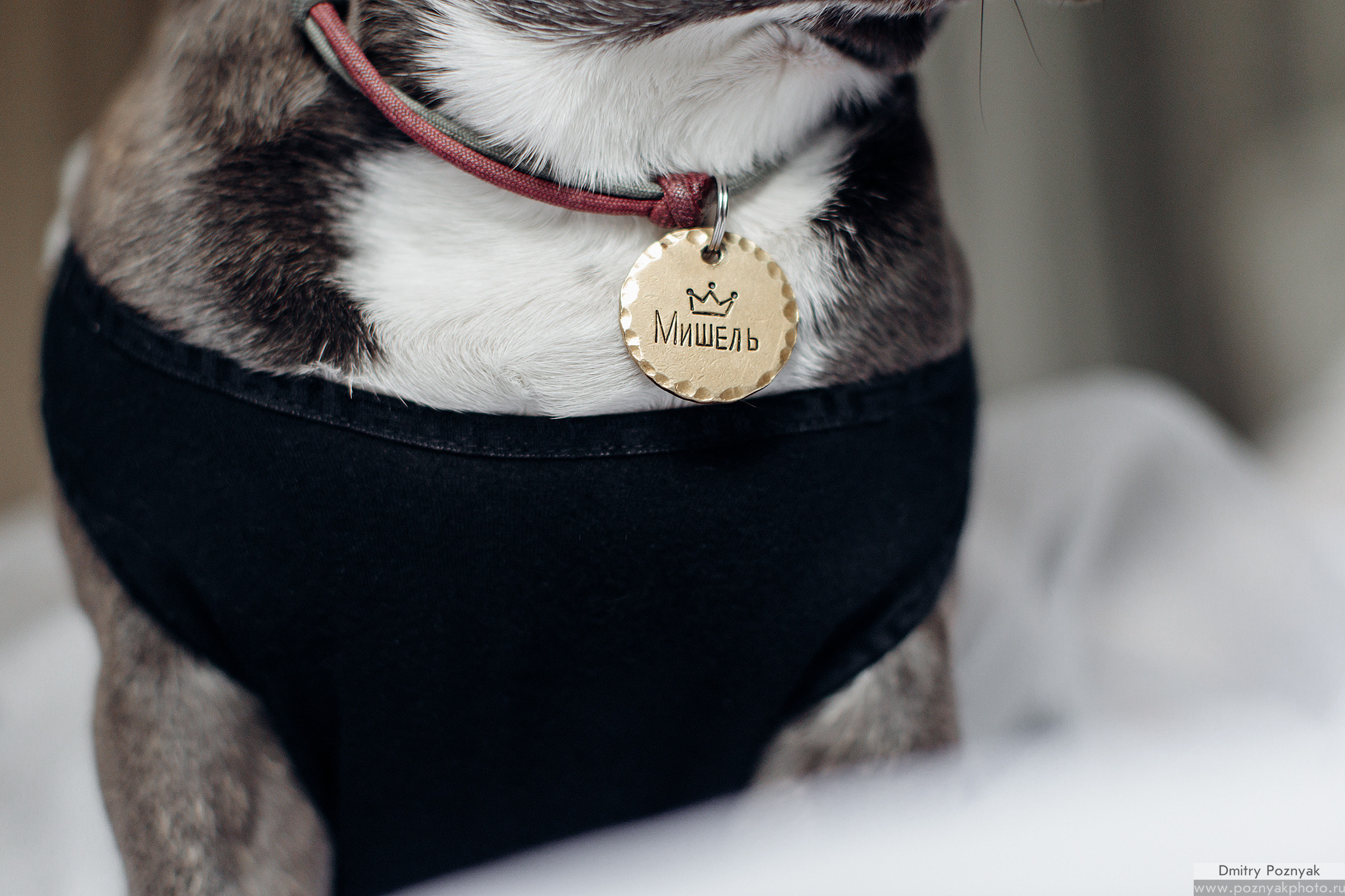 Свадьба Паши и Насти. Дмитрий Позняк — свадебный фотограф в Брянске. Личный сайт фотографа