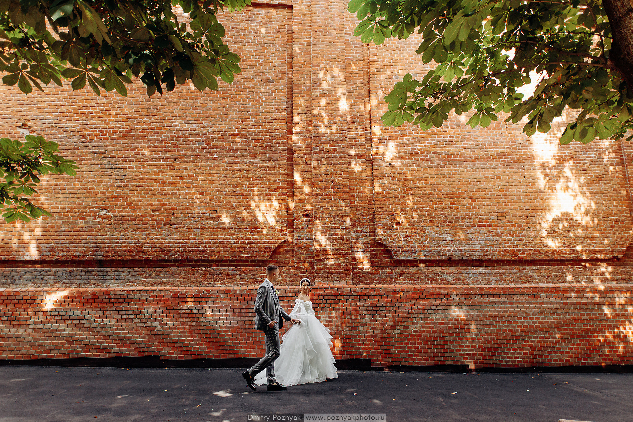 Лёша и Алина. Дмитрий Позняк — свадебный фотограф в Брянске. Личный сайт фотографа