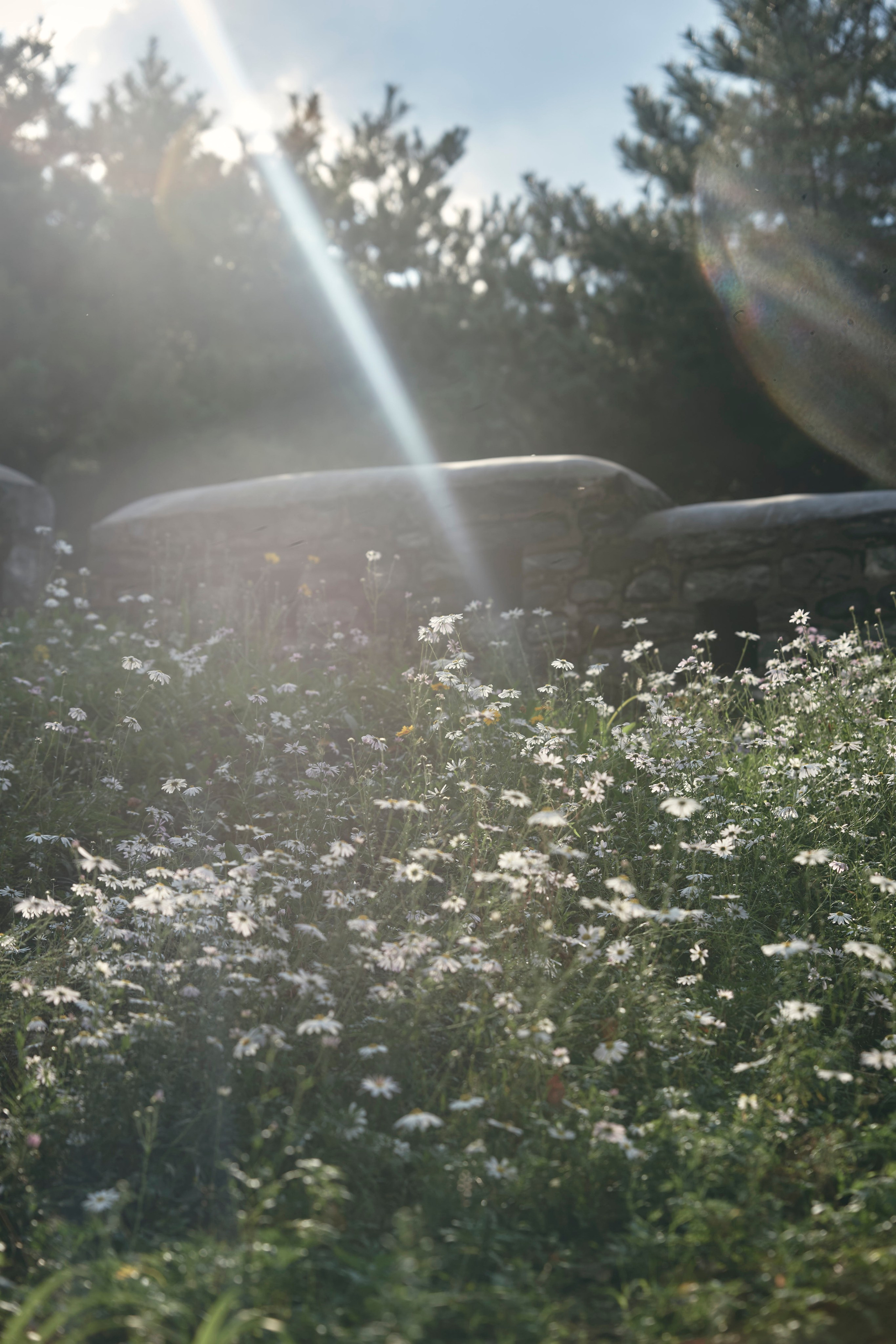 TRAVEL. Фотограф Наталья Леонова