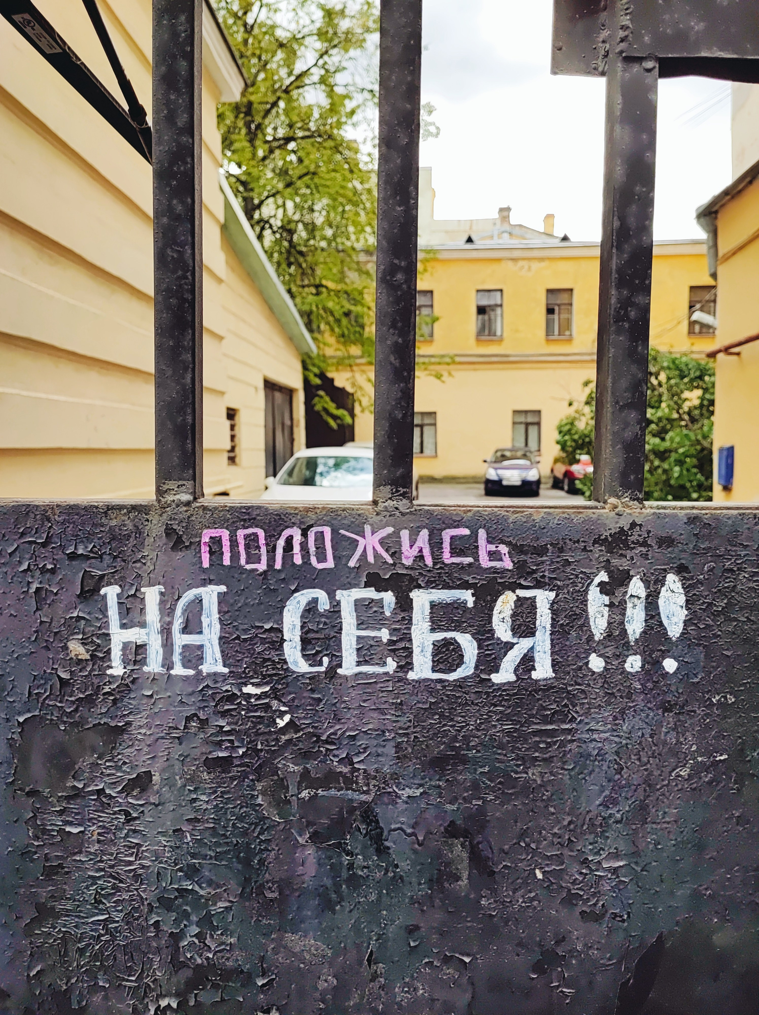 Намобилкус питерский. Репортажный фотограф Алексей Пирязев