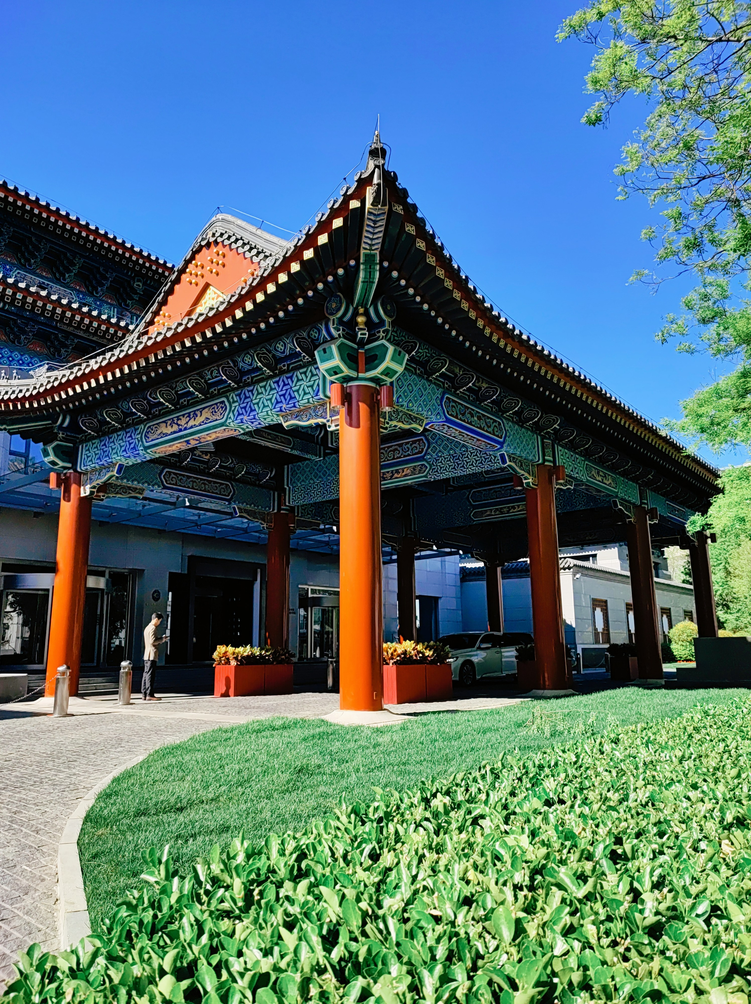 Намобилкус китайский. Репортажный фотограф Алексей Пирязев