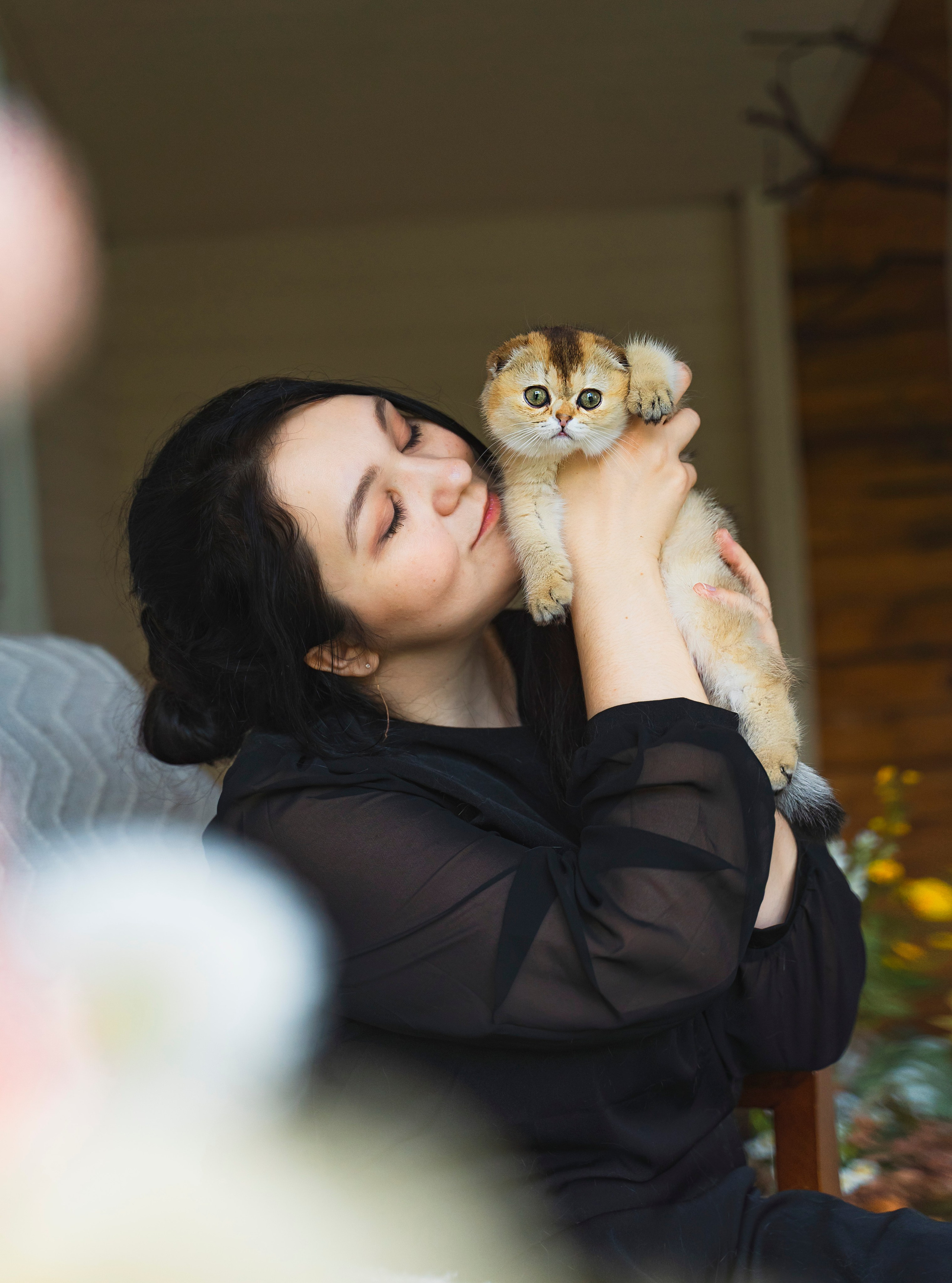 Питомник Шотландских кошек. Фотограф в Москве Ленарская Дарья