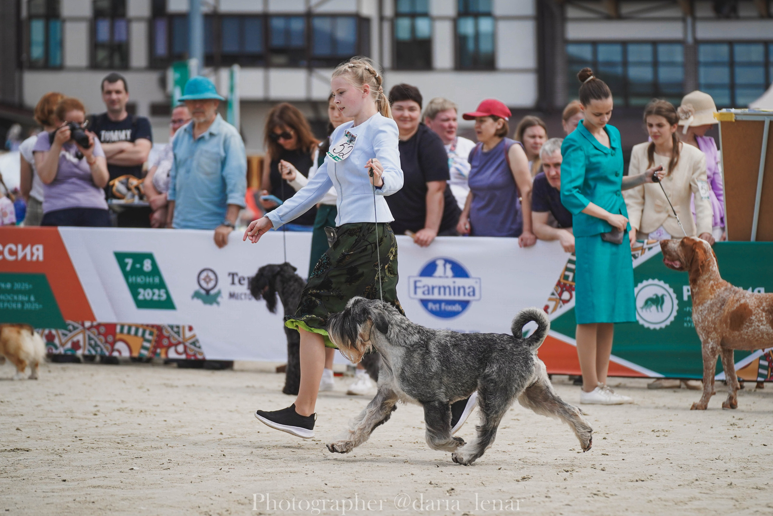 Выставки собак. Фотограф в Москве Ленарская Дарья