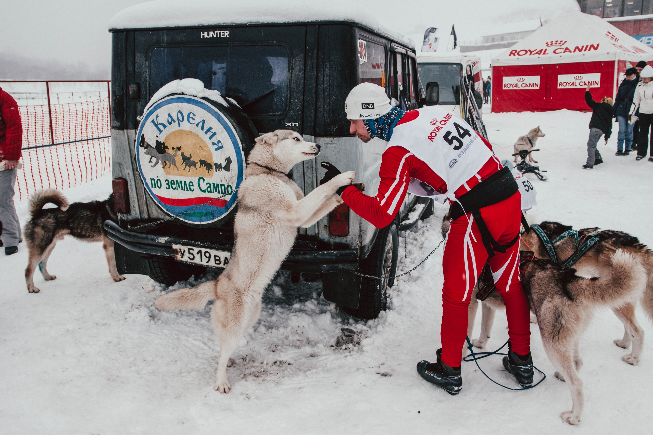 Гонки на ездовых собаках в Токсово. Репортажный фотограф во Всеволожске и Санкт-Петербурге Владимир Капустин