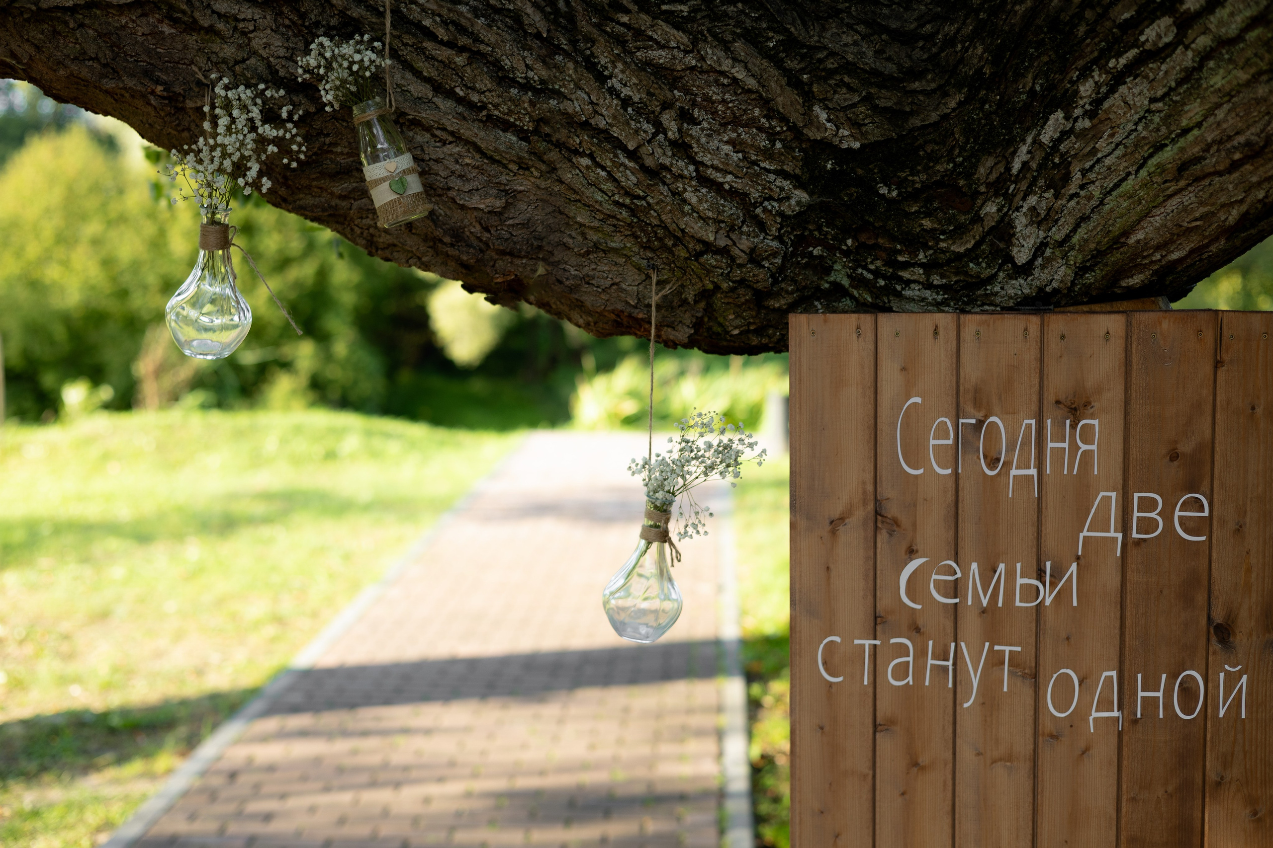 Денис & Дарья | в лесу. Фотограф в Калининграде Сокирко Светлана