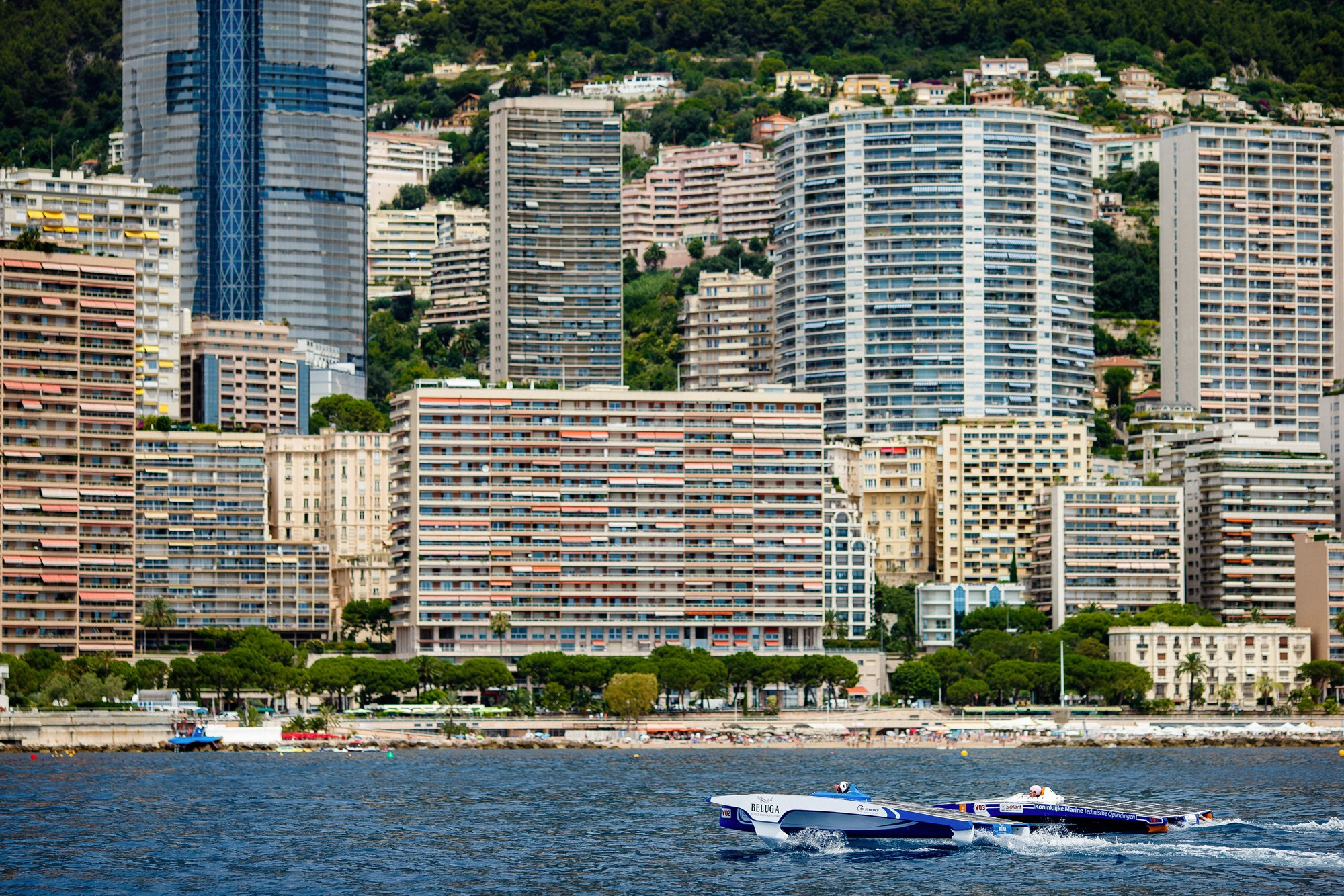 Report VIII. Veedoff