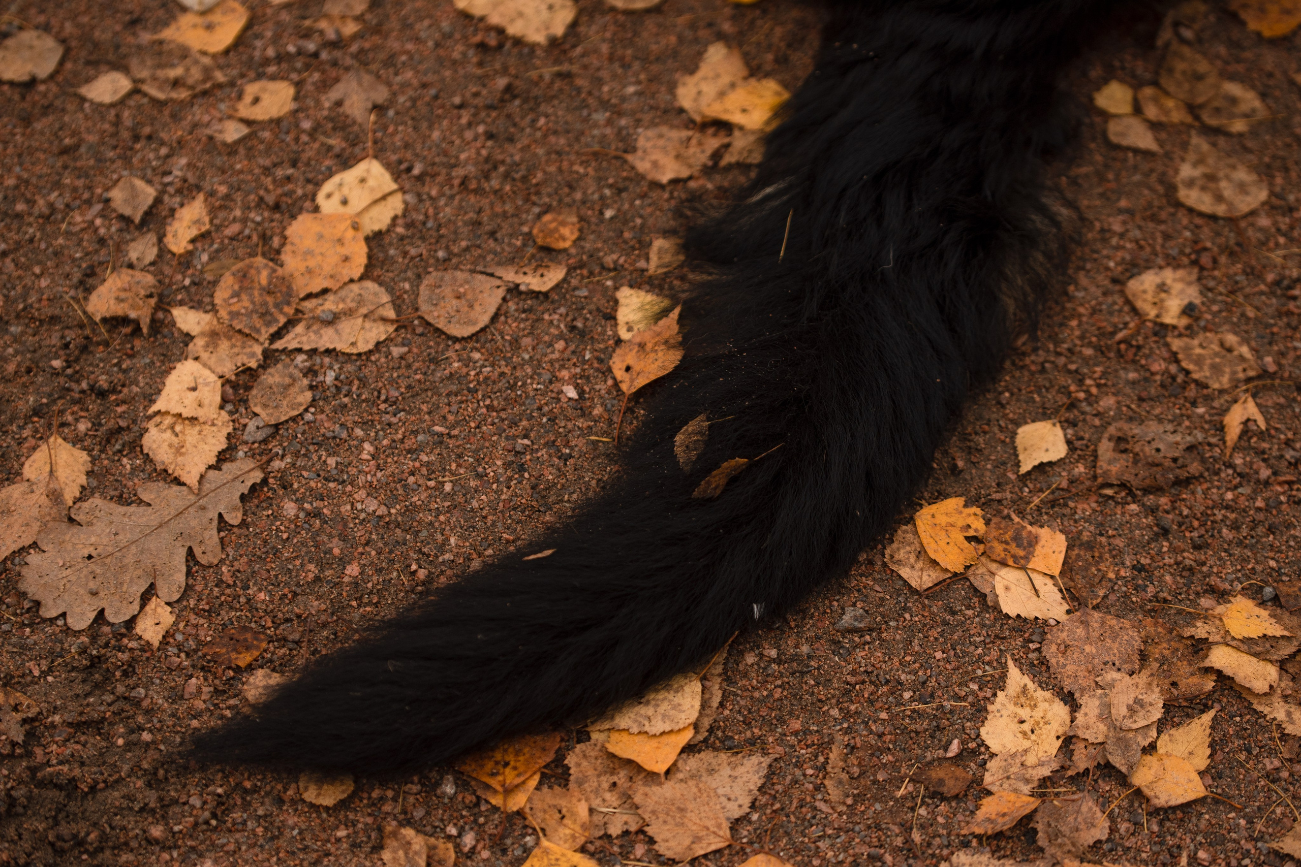 Портретная съемка, портрет девушки, фотография, фотограф спб, портретный фотограф спб, студийная съемка, съемка в студии, профессиональный фотограф, фотосессии дома, фотосессия с девушкой, домашние съемки, фотосессия с парнем, конная фотография, съемка с лошадью, lifestyle фотография, фотограф спб, питер фотограф, лавстори, лайфстайл
