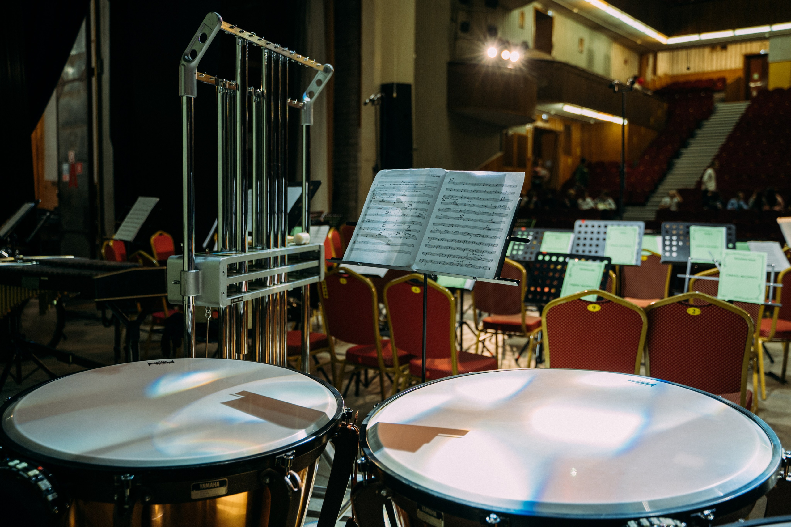 Симфонический оркестр. Фотограф в Волгограде Марина Черных