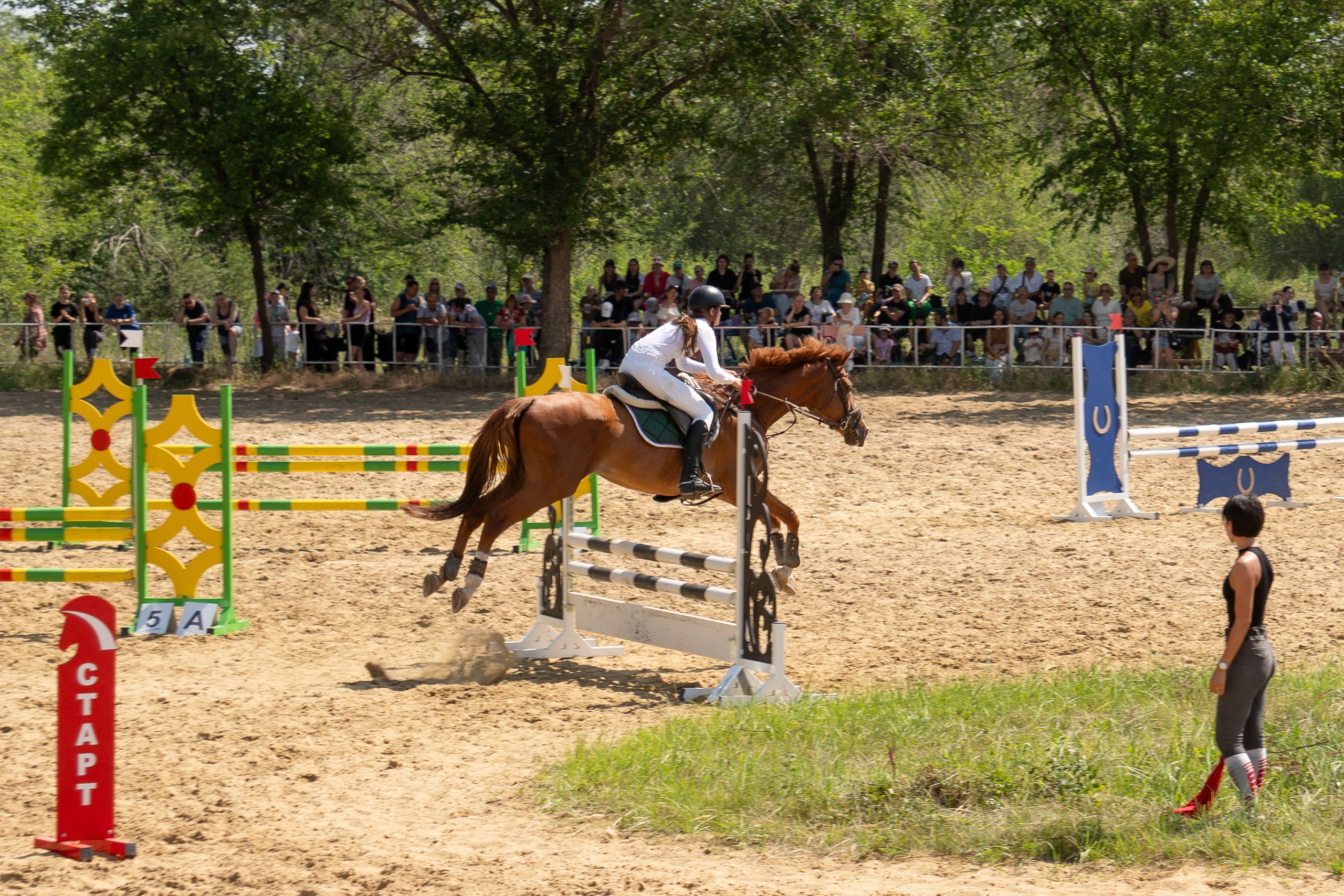 Соревнования по конкуру, Луганск. Фотограф в РФ и ЛНР Юлия Федосеева