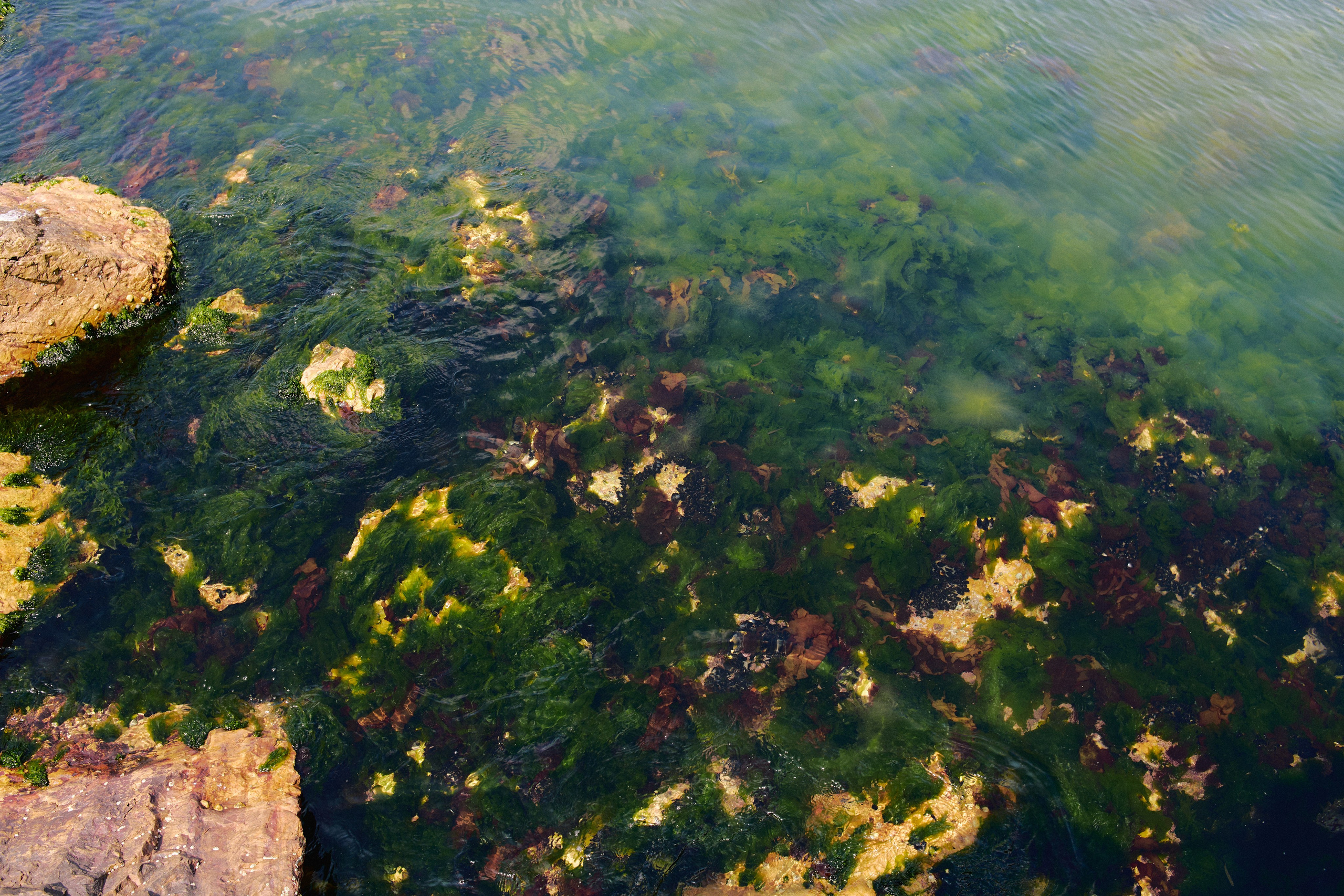 Улица горизонтальная. Jorgis — фотограф в Хургаде / обучение фотографии