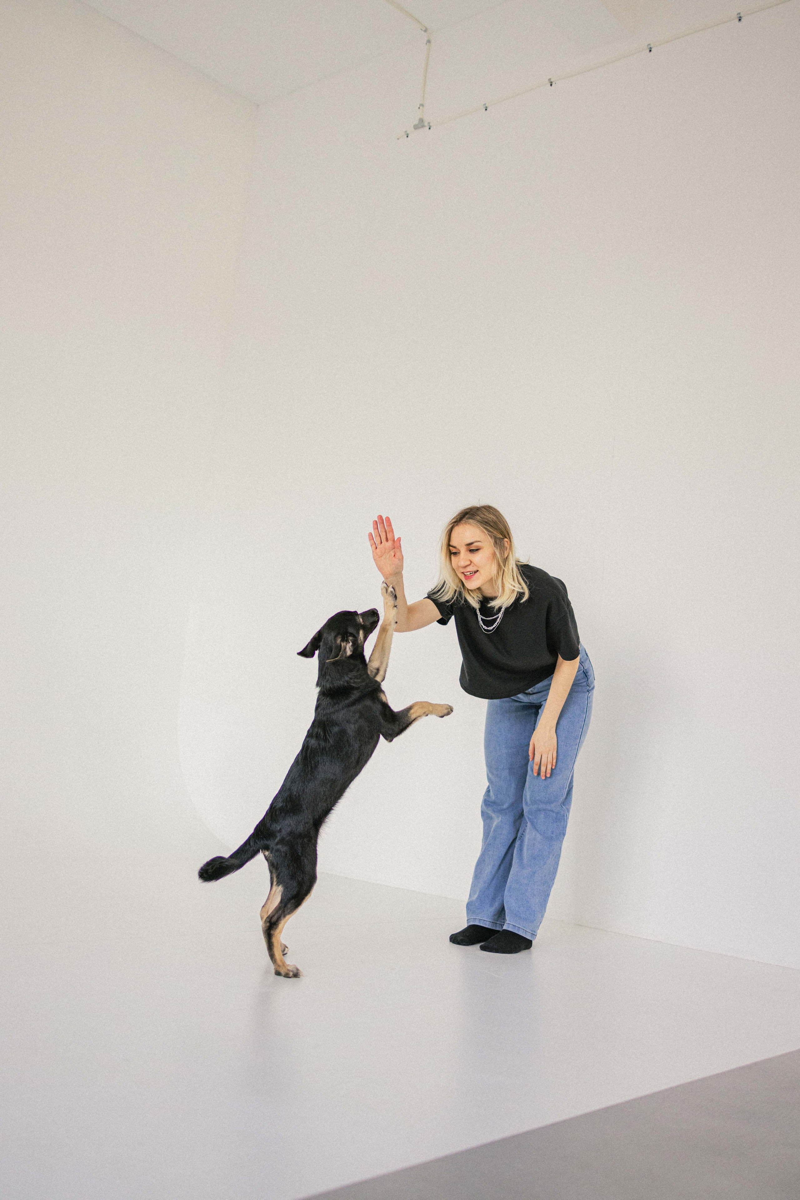 Крис и Тэдди. Фотограф-анималист в Москве Лера Черноног