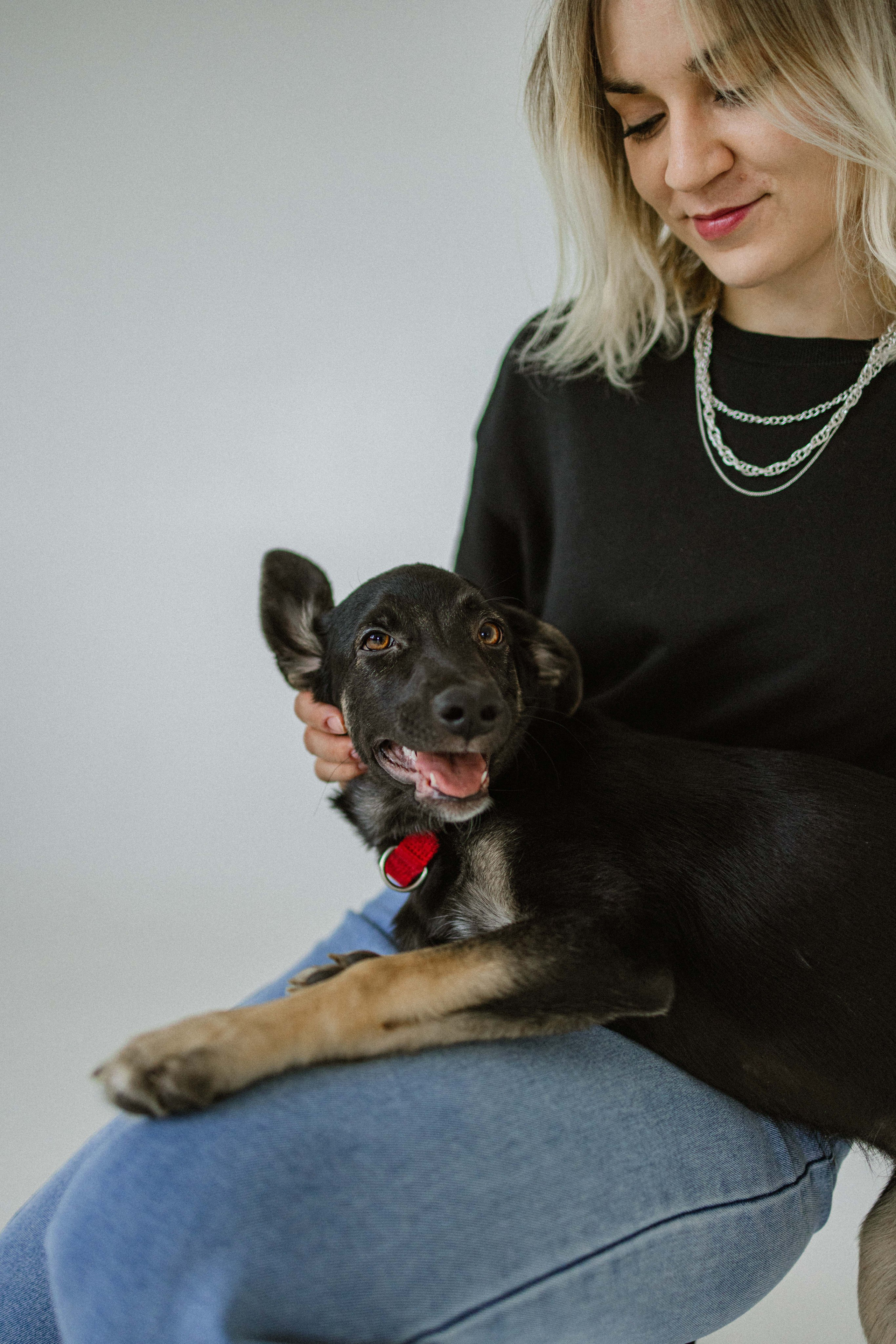 Крис и Тэдди. Фотограф-анималист в Москве Лера Черноног