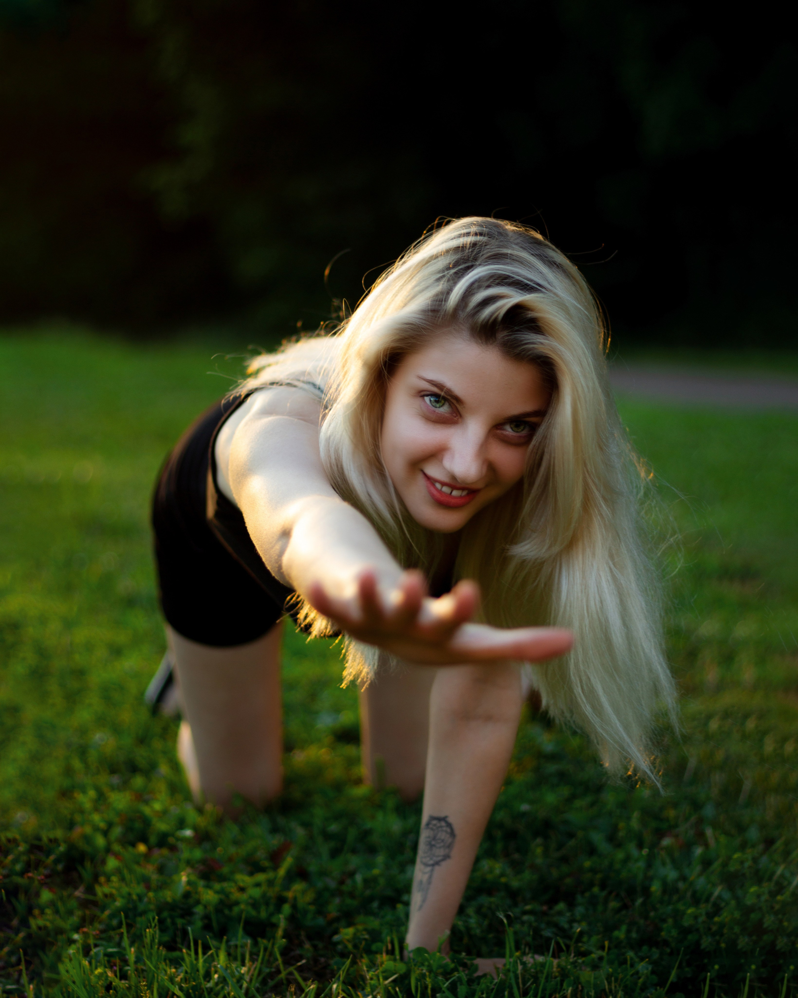 Альбом фотографий — Закат на траве. Николай Мокрицкий — Фотограф в Москве и Московской облости