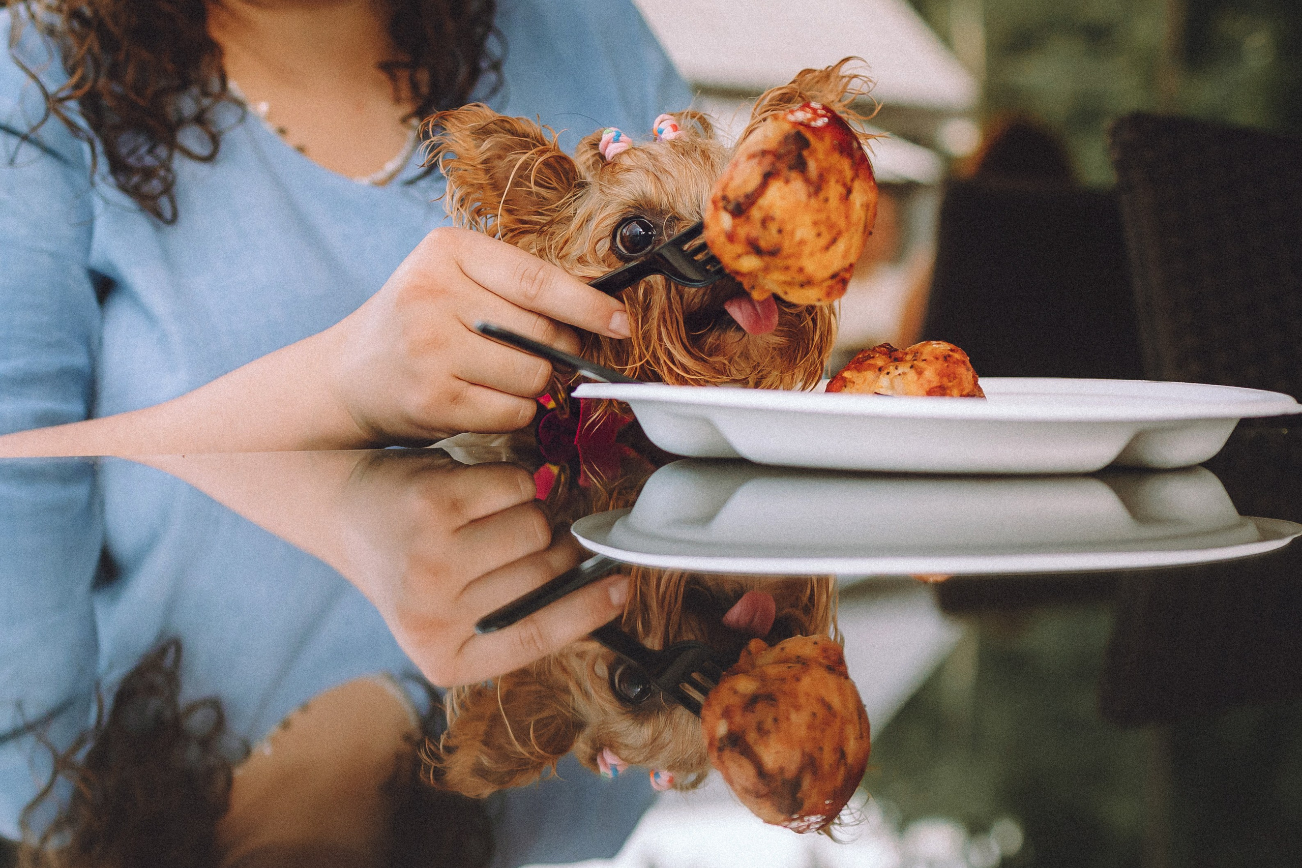 Даша и Дэзи