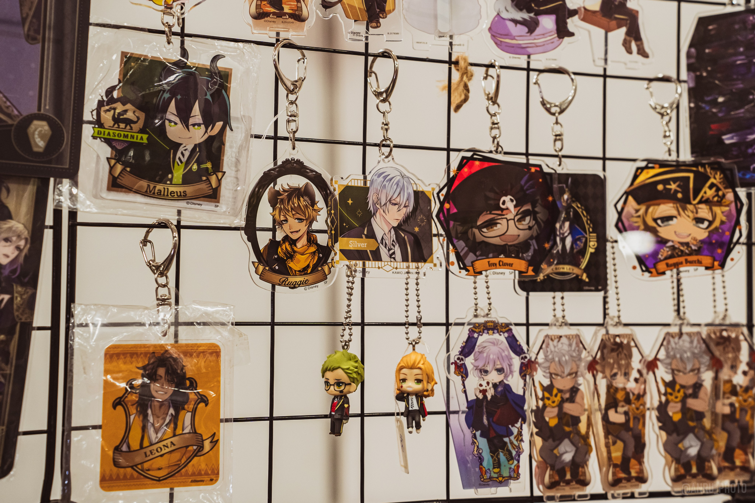 Fox Family fest. Репортажный фотограф Анастасия Рубцова