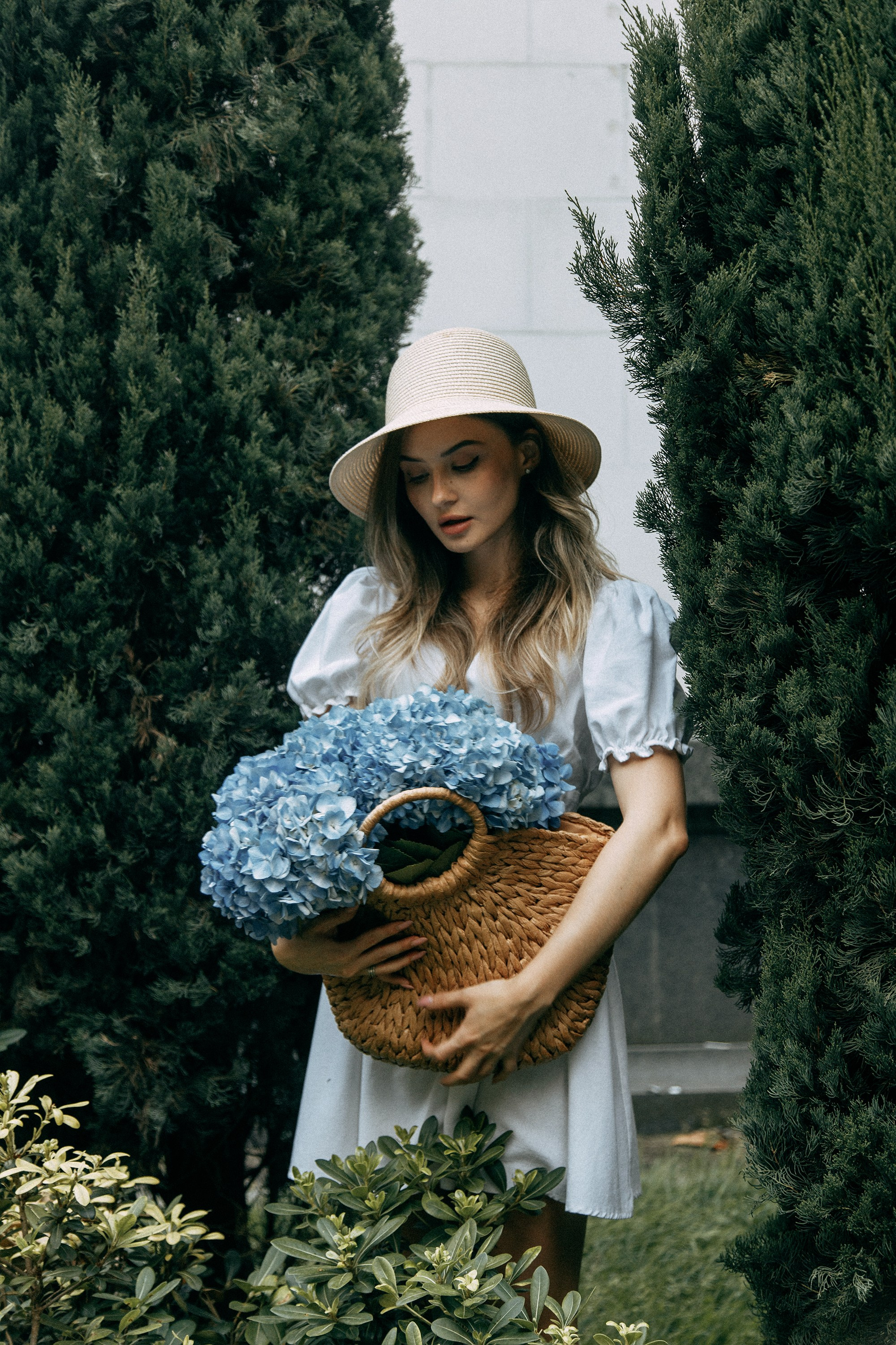 Фотосессия с гортензиями в Батуми