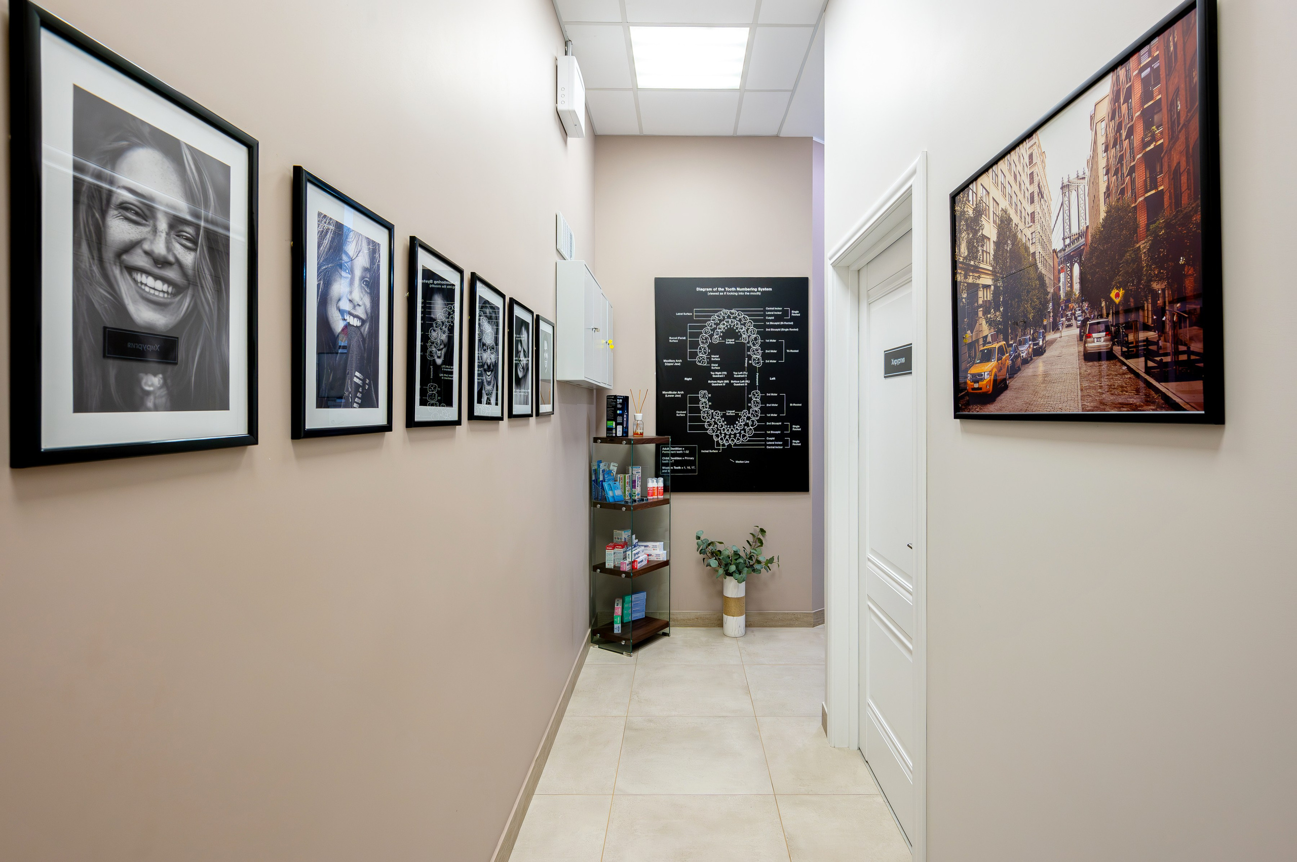 Стоматология Ars Dental Clinic. Интерьерный фотограф. Фото- видеосъемка недвижимости Санкт-Петербург