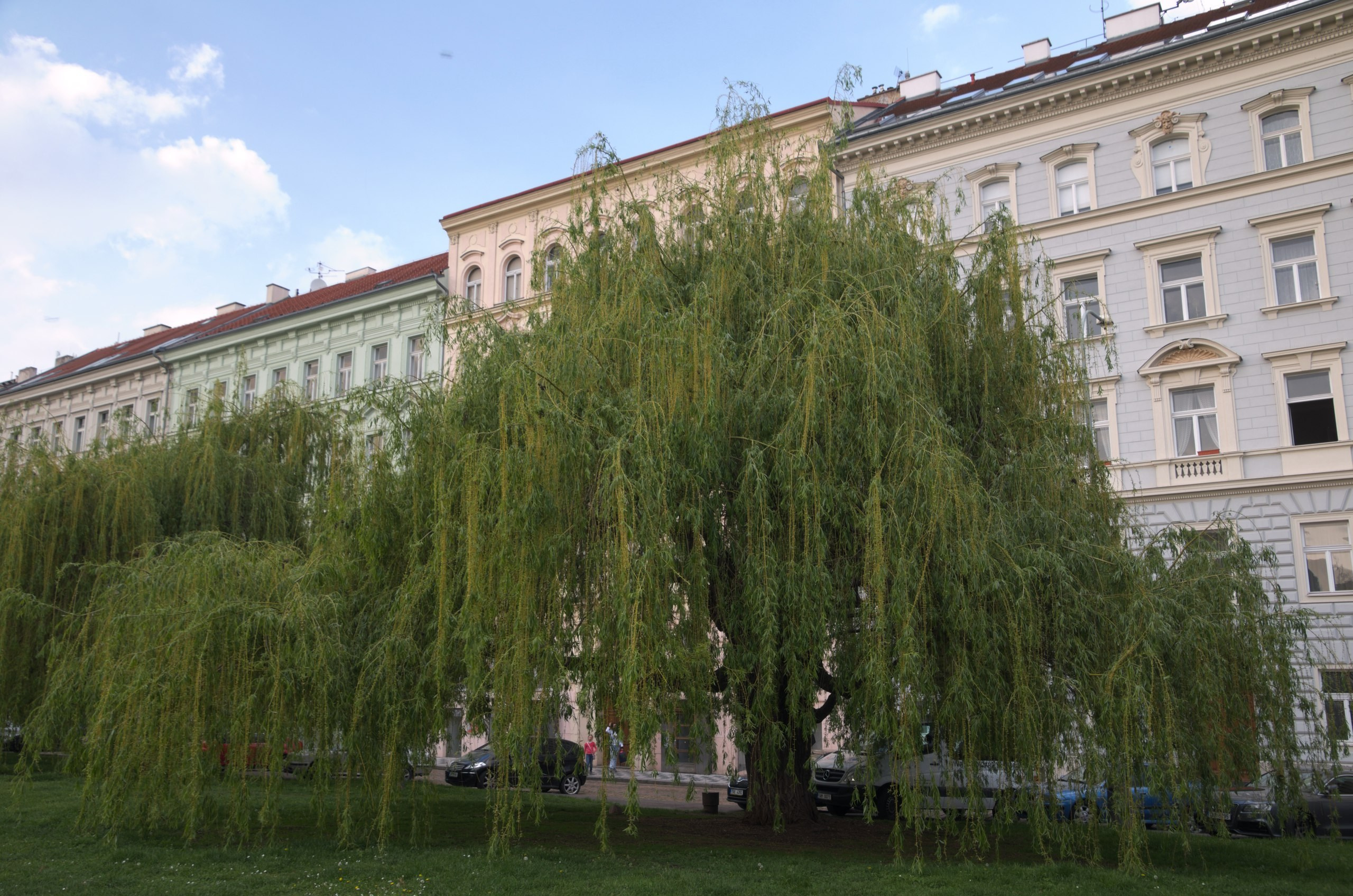 Чехия | 06-09.05.2017. Галерея Фантим