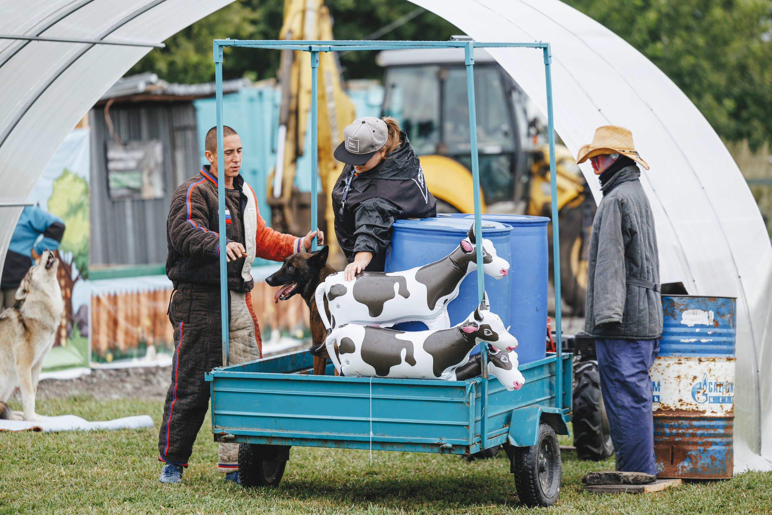 08.08.25-10.08.25 ЧР по мондьорингу г. Вологда. Фотограф-анималист Анна Маринич