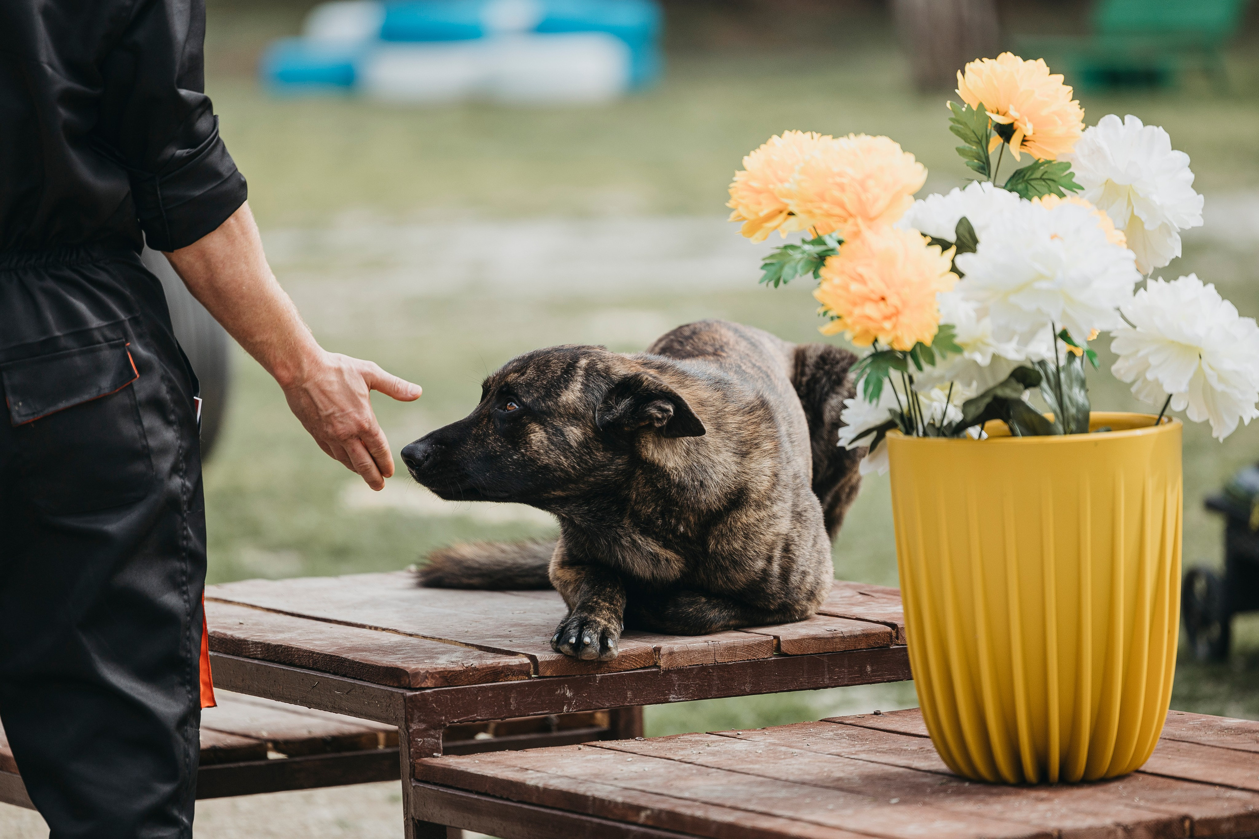 Геленджик Мондьоринг. Фотограф-анималист Анна Маринич