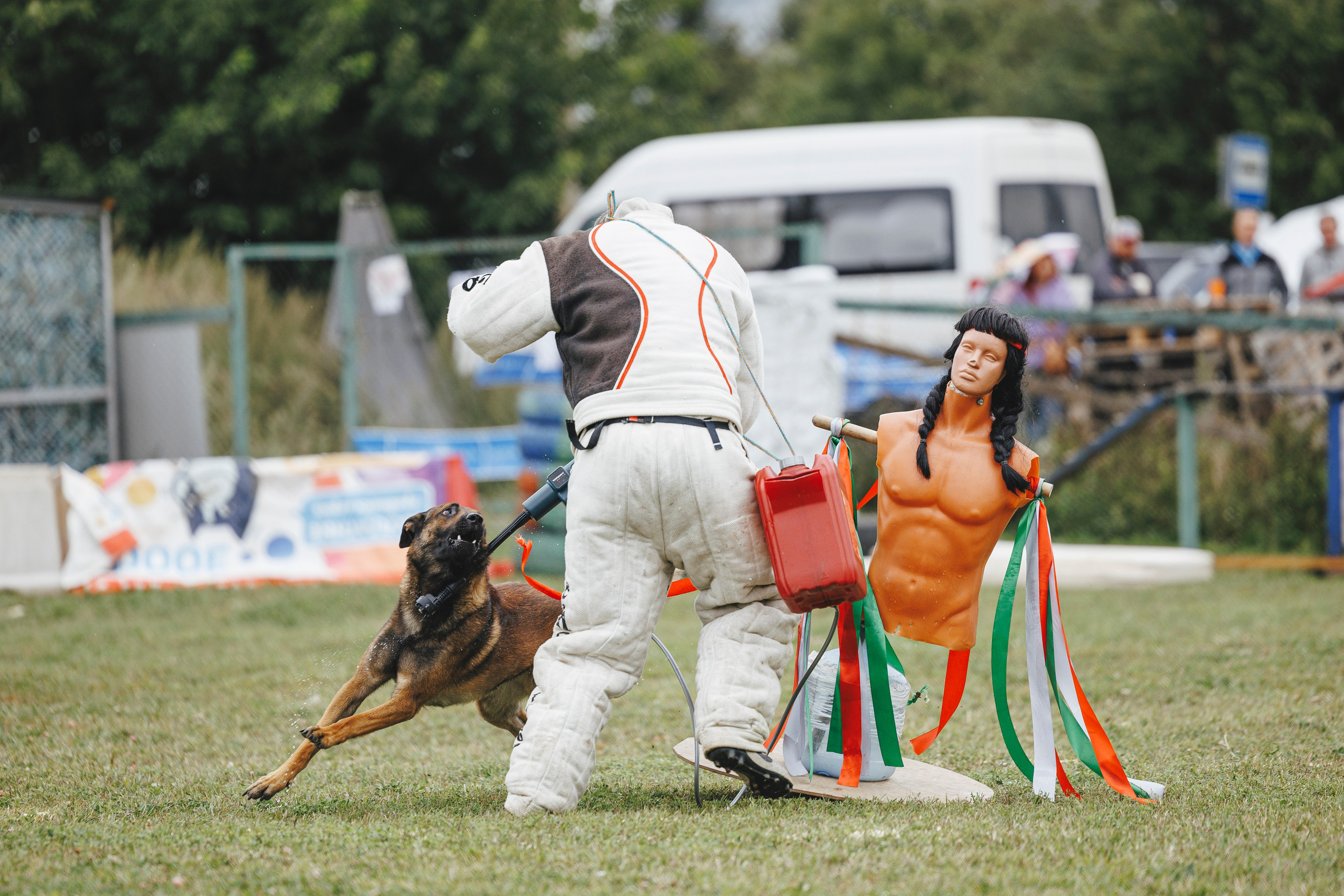 08.08.25-10.08.25 ЧР по мондьорингу г. Вологда. Фотограф-анималист Анна Маринич