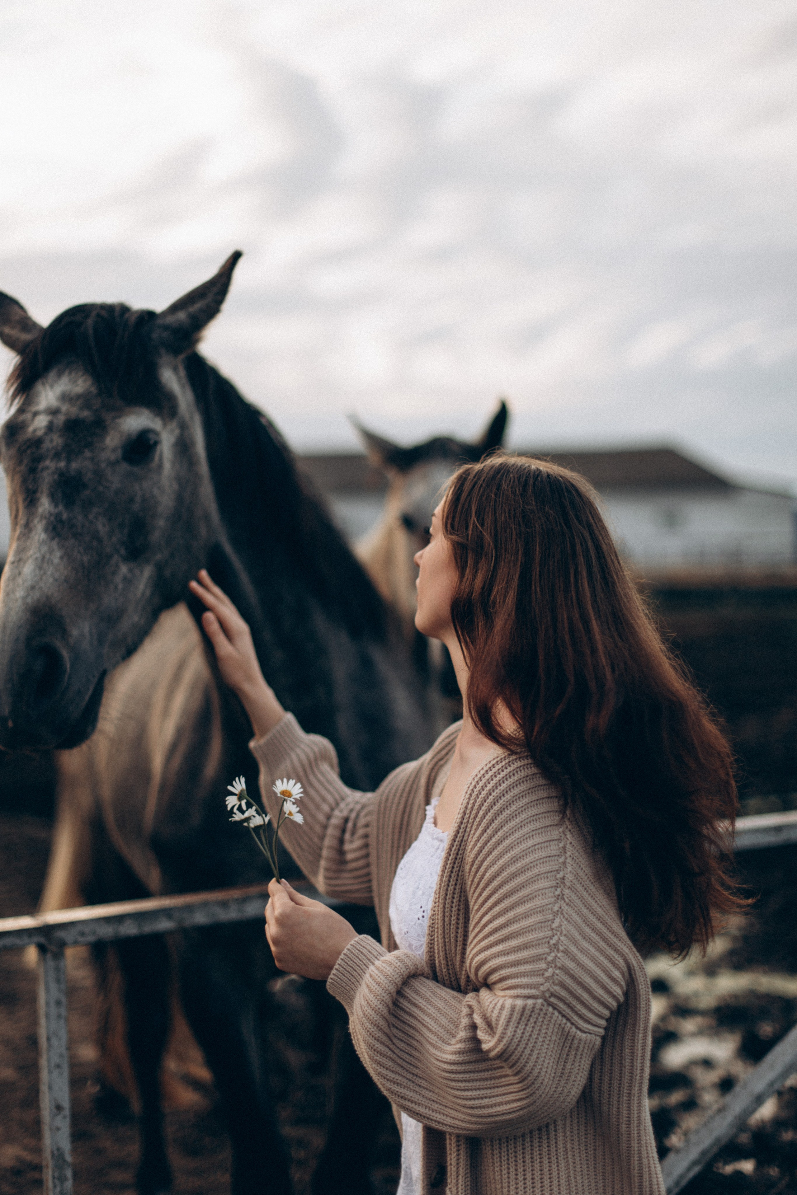 Что-то на закатном. Репортажный и детский фотограф в Минске