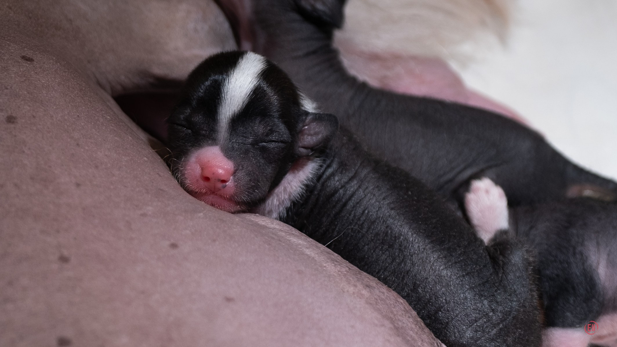 4-й день. Poale Ell Deniz