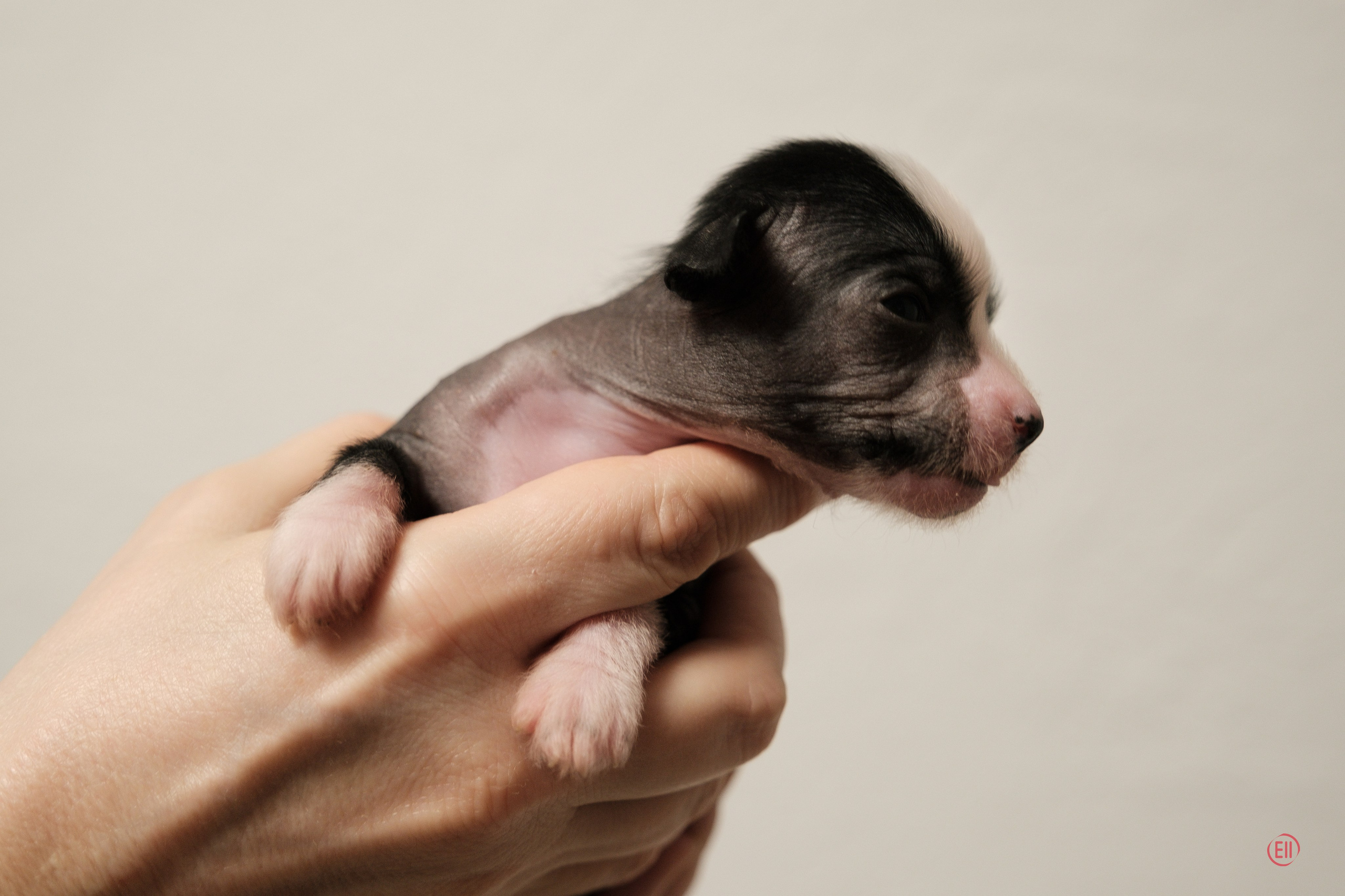 Dominika 16 дней 