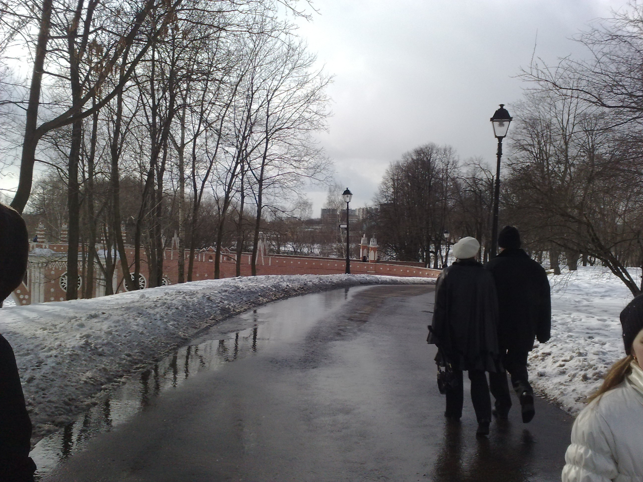 Царицино музей-усадьба. Питомник китайских хохлатых собак Poale Ell: купить щенка в питомнике