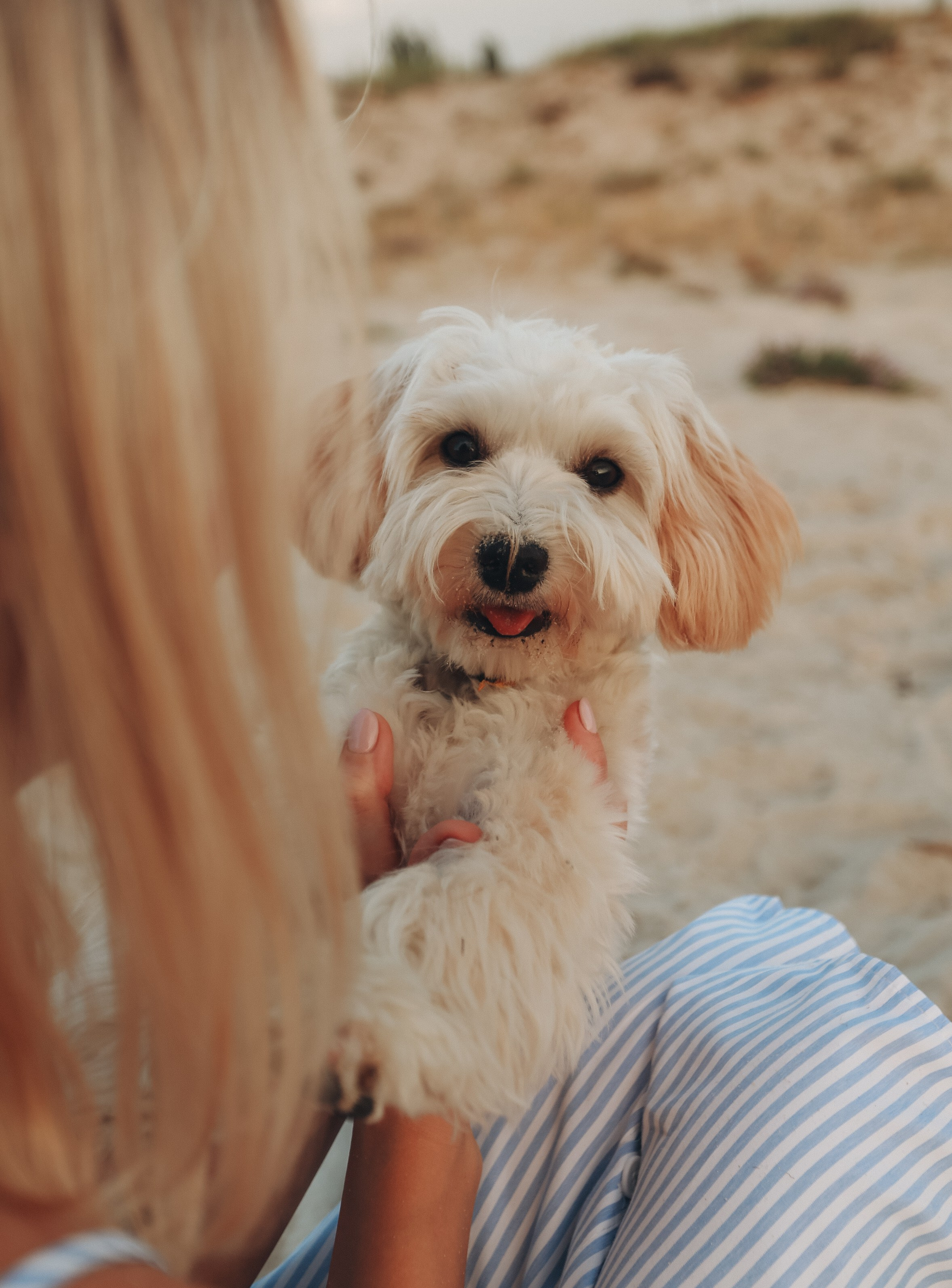 Пикник мамы Жени, Артема и Ксюши. Детский фотограф, Волгоград