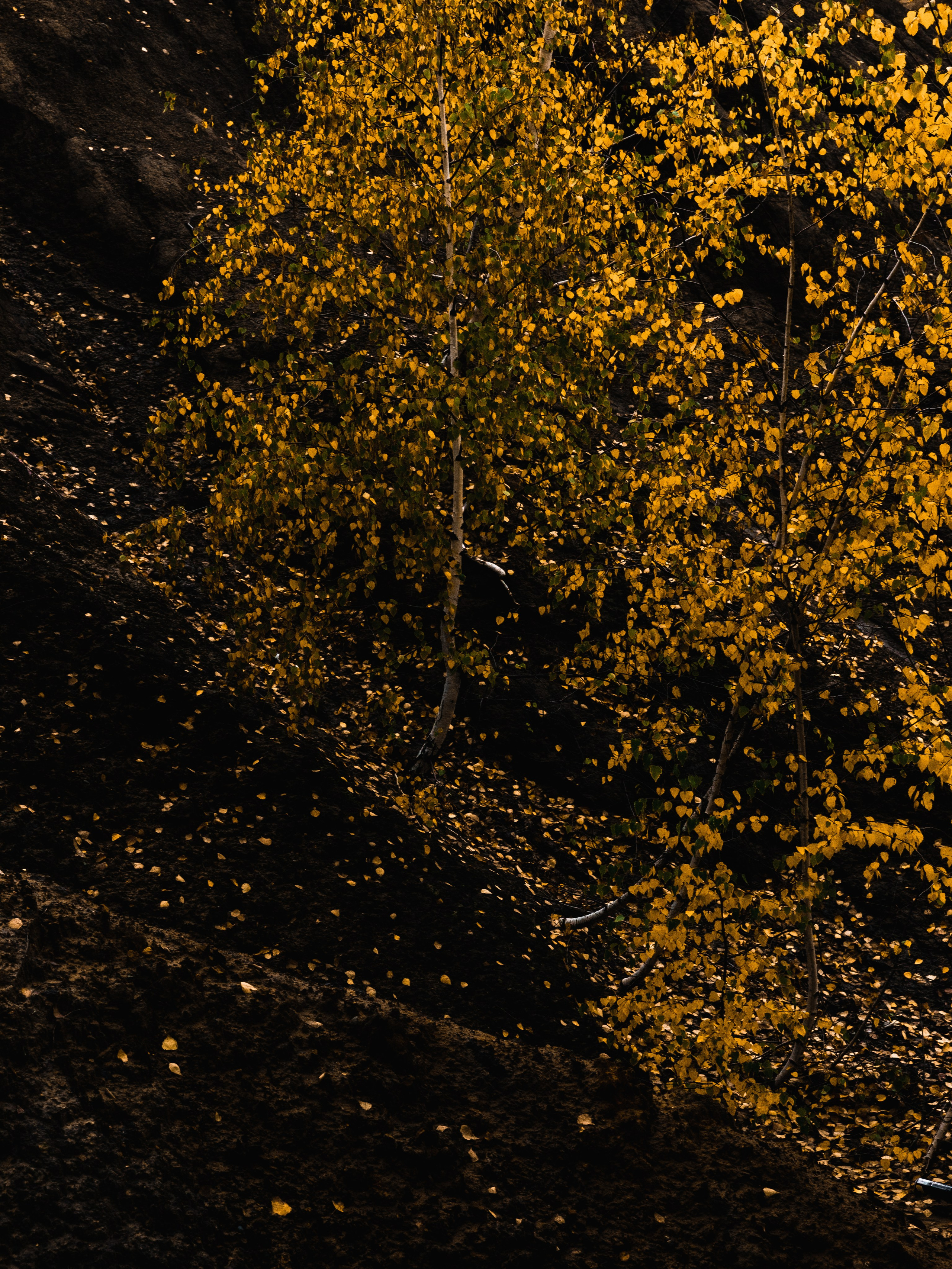 Кондуки. Октябрь 2023. Фотографии