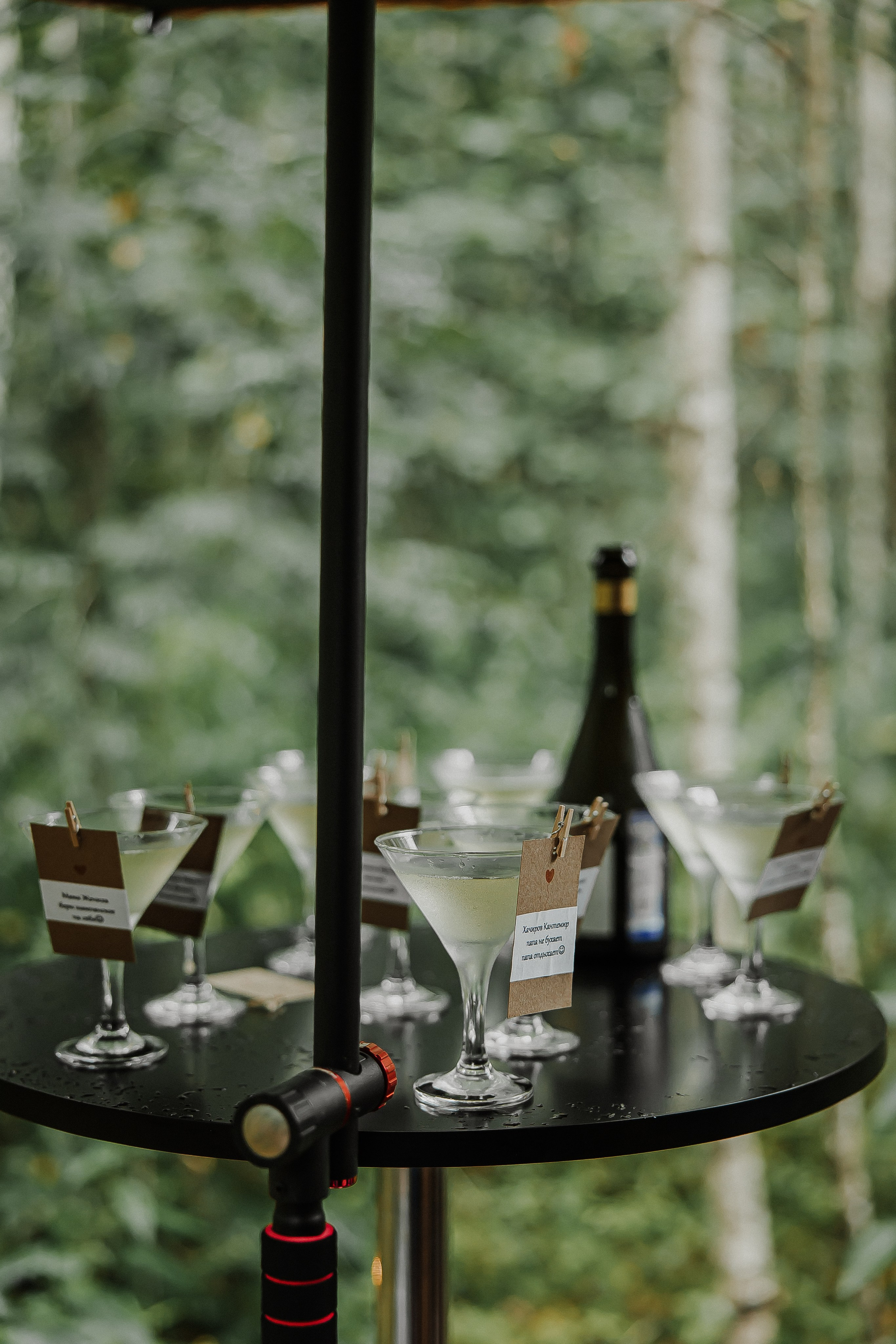 Александр и Арина. Свадебный и семейный фотограф Елизавета Ермак | Москва и МО