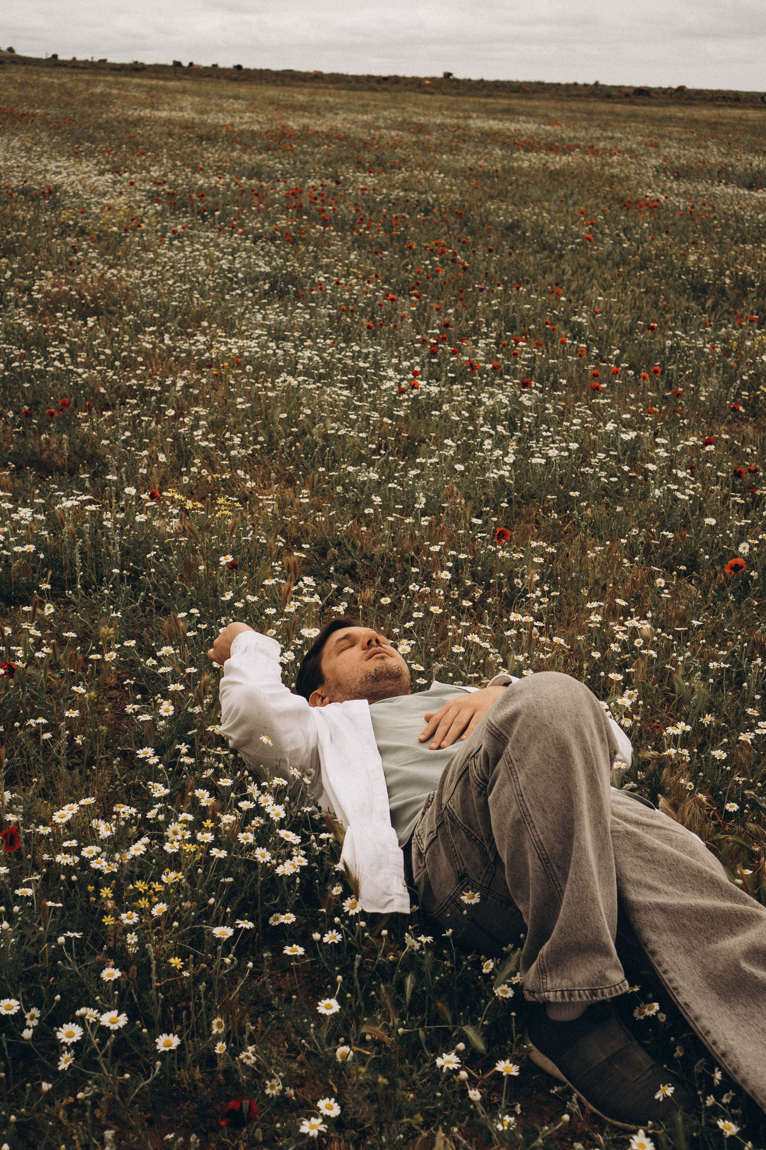 Маки. Профессиональный фотограф, Санкт-Петербург — Виктория Богомолова