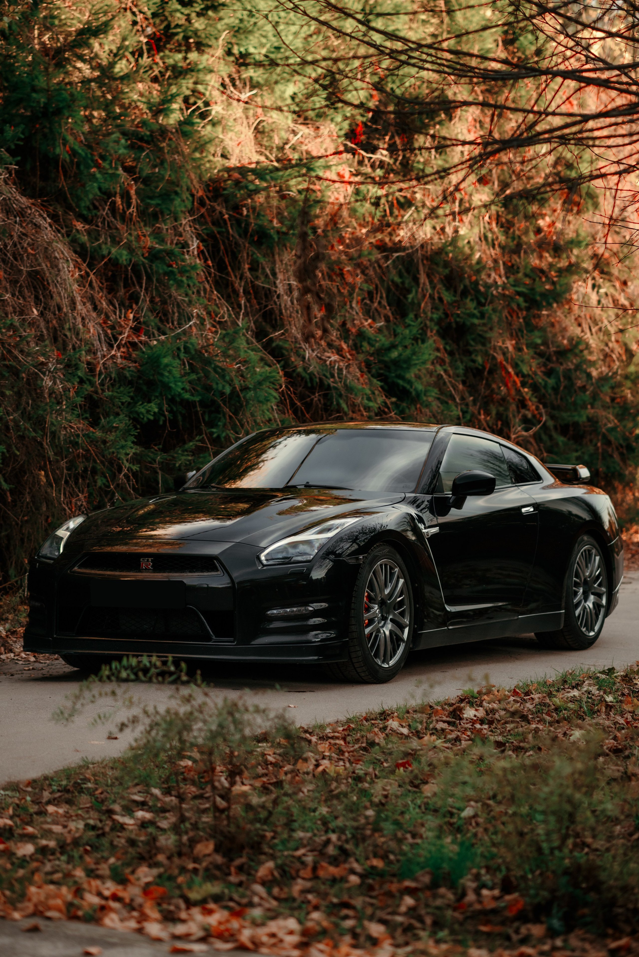 Nissan GT-R35 autumn vibe. DeLorein