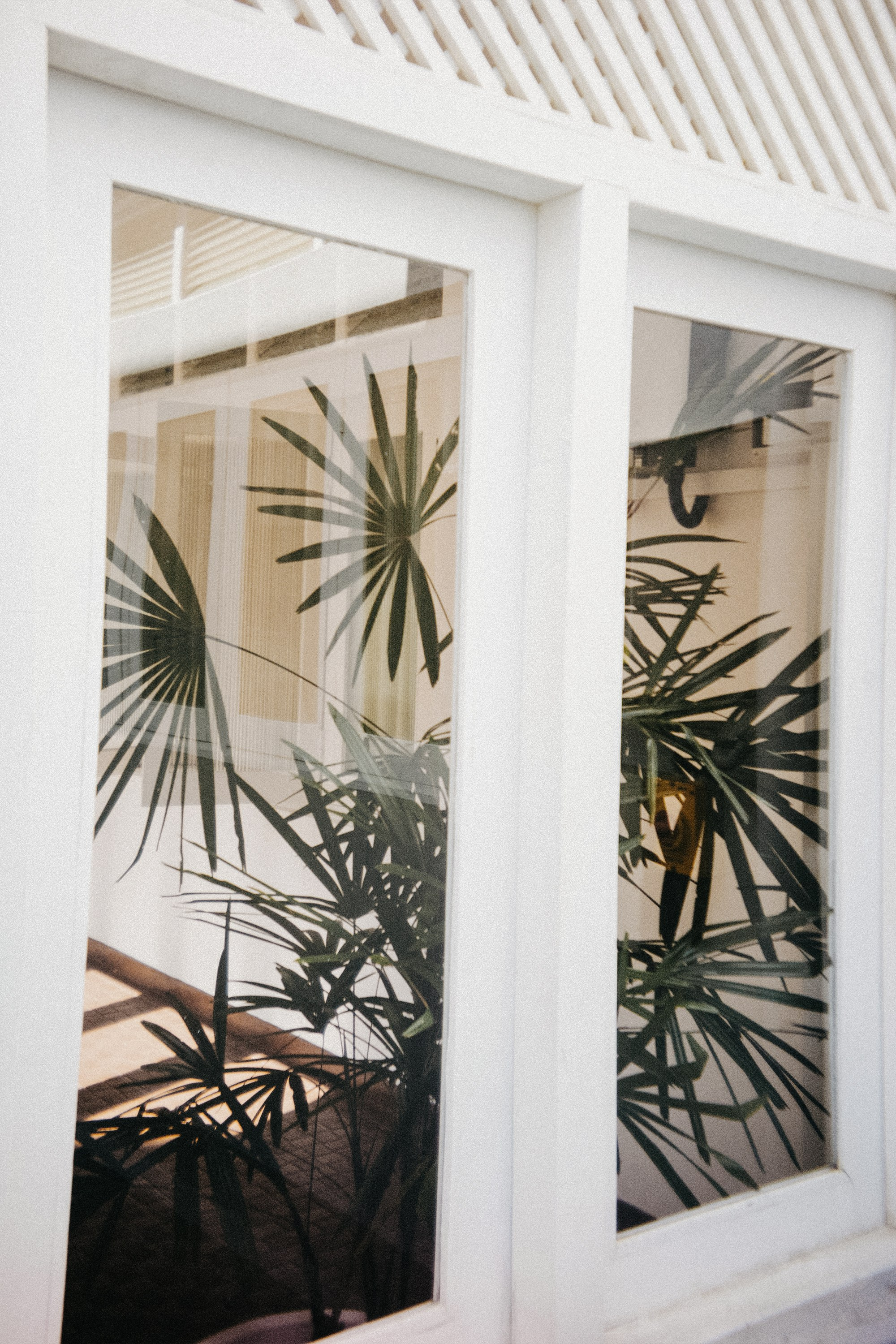 Шри + Бангкок. Фотограф Тбилиси Саша Мороз