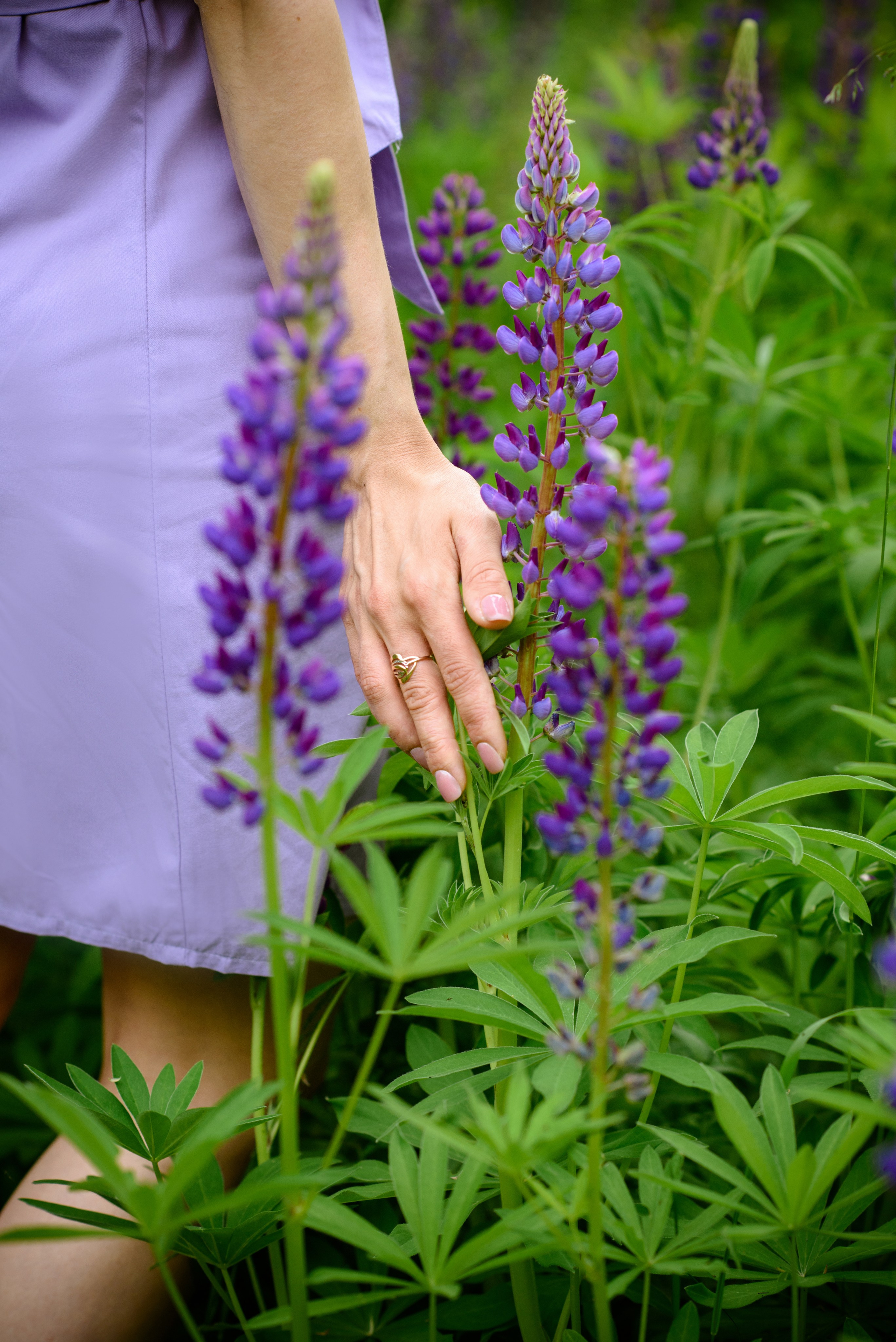 Лилия. Семейный и свадебный фотограф в Ельце Юлия Дякина