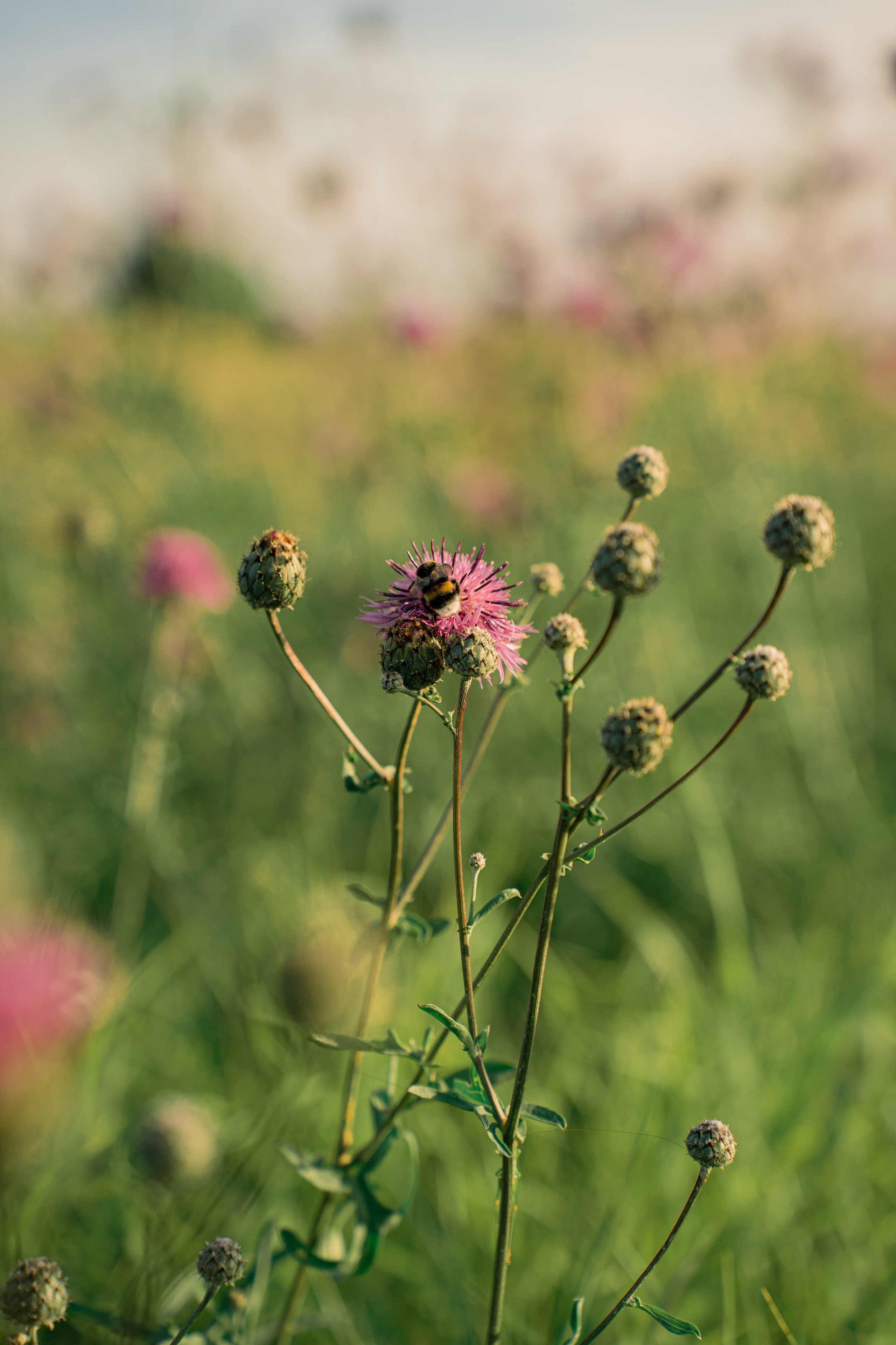 ATMOSPHERE. Фотограф Юрина Ксения Москва