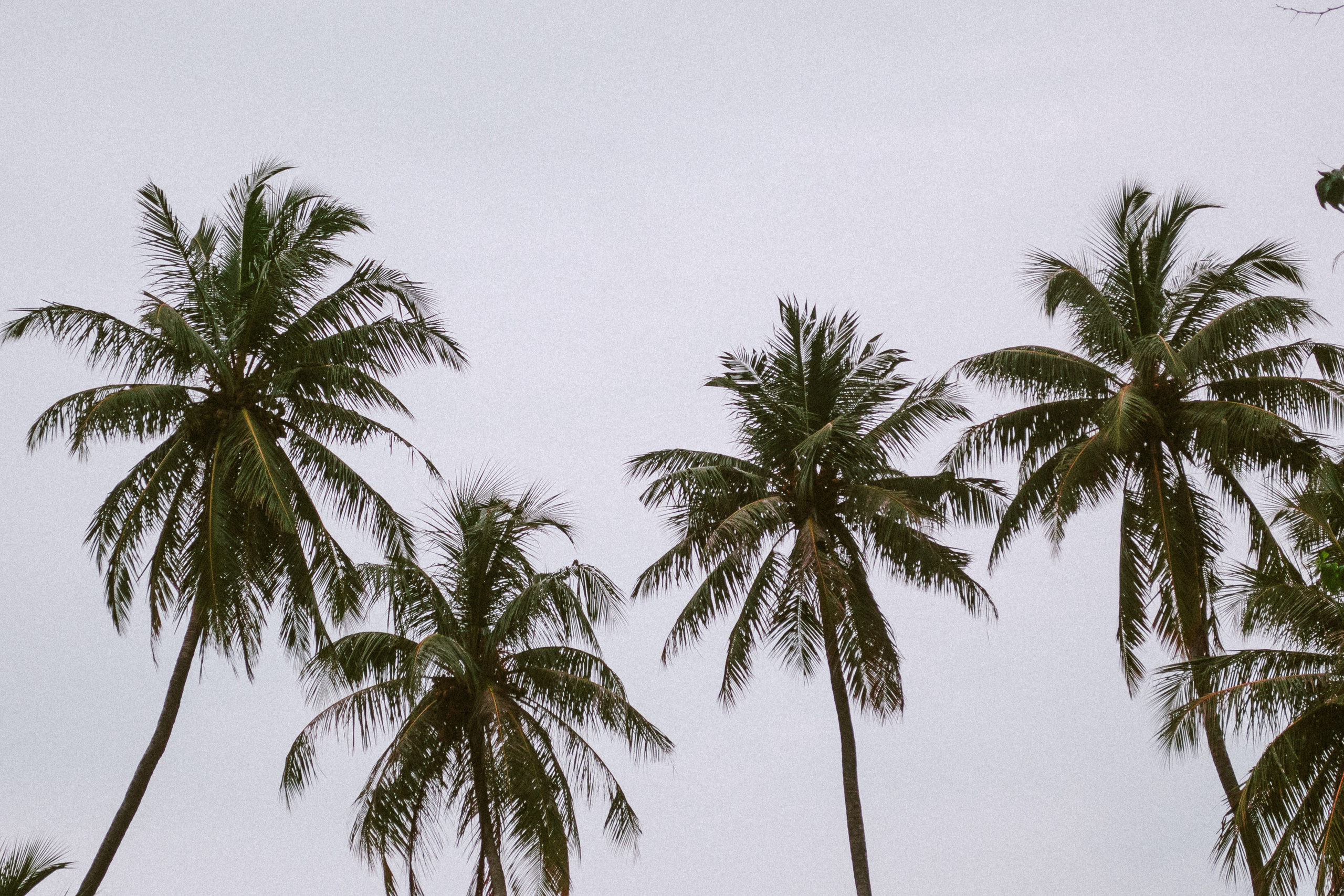 О.Тулусду. Мальдивы. Фотограф Светлана Голицына