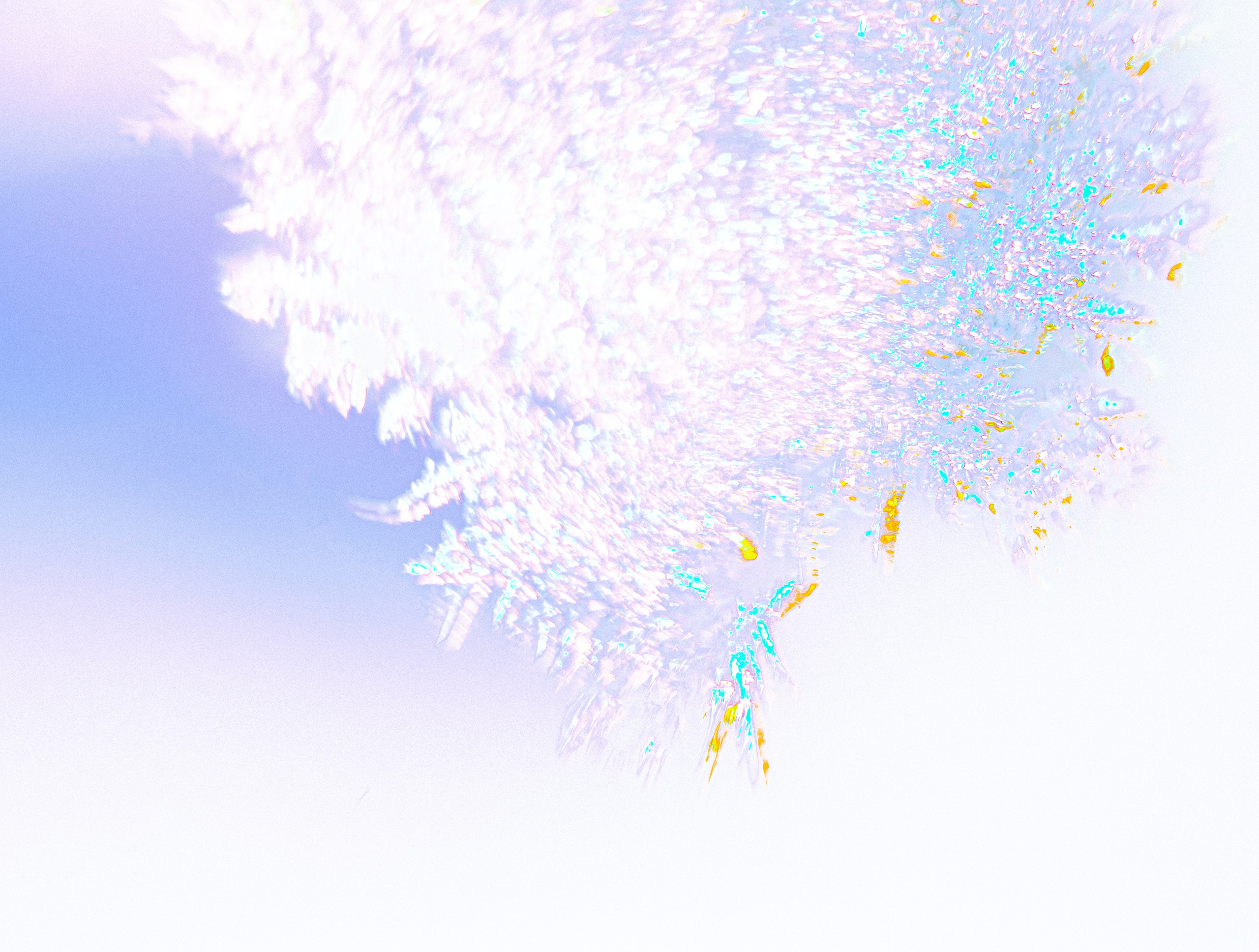 ЛЕД, 2026. АННА ВЕРСО / ANNA VERSO | Визуальный художник / Visual artist